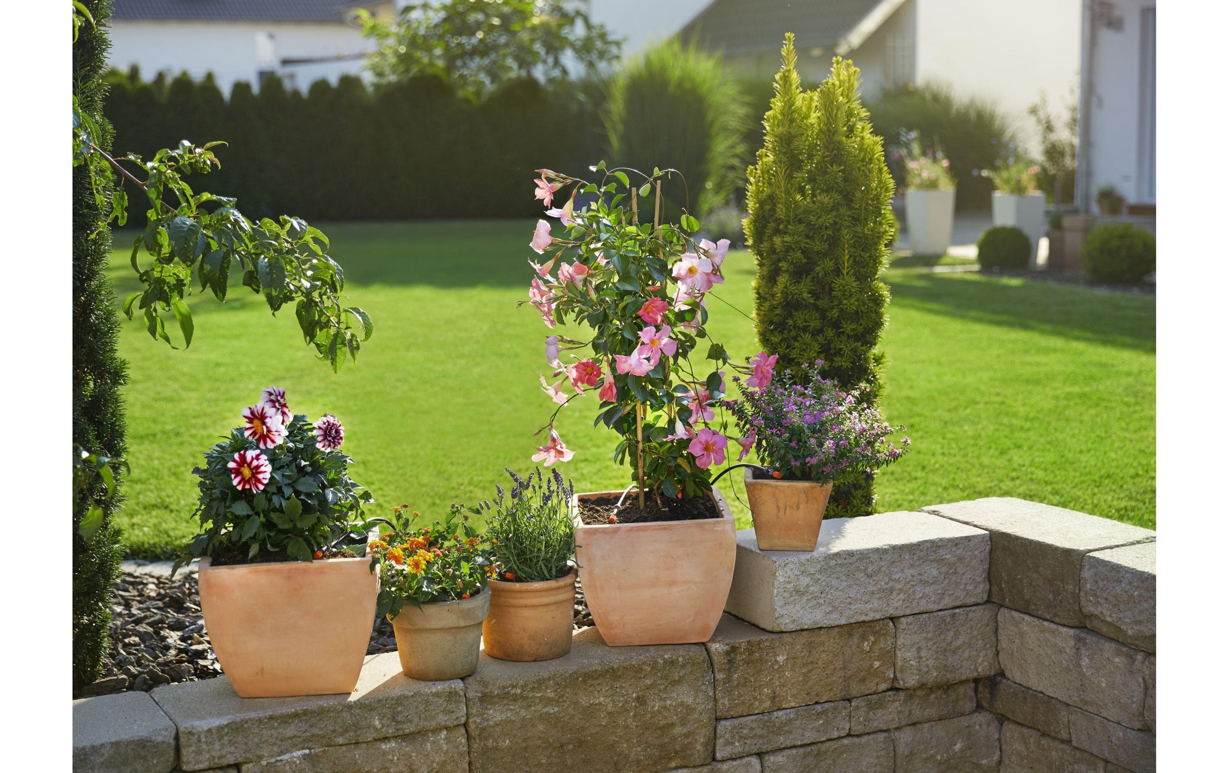 GARDENA Bewässerungssystem »Micro-Drip-System Pflanztöpfe S«, Micro-Drip-System
