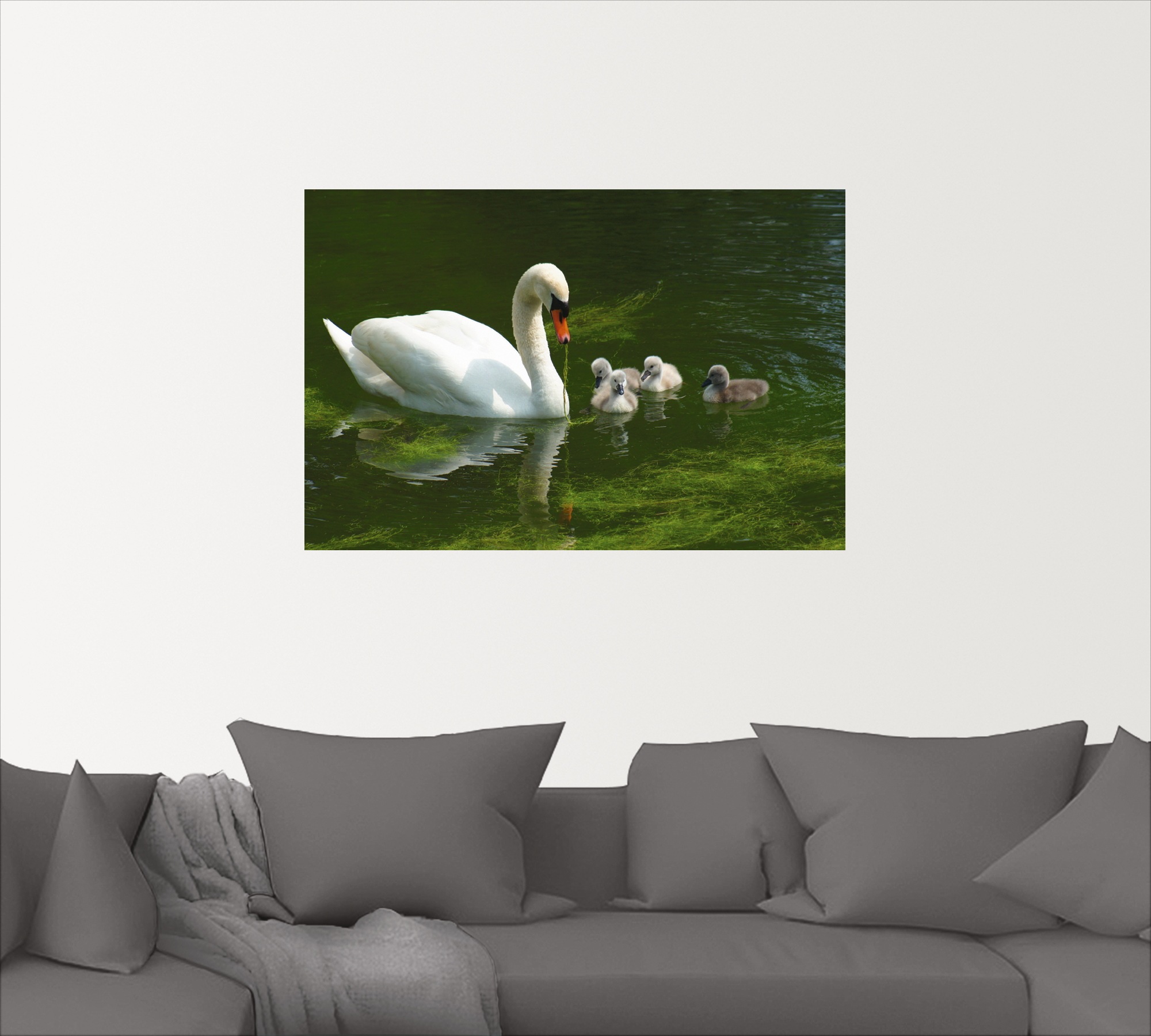 Artland Wandbild »Schwanen Familie«, Vögel, (1 St.), als Alubild, Leinwandbild, Wandaufkleber oder Poster in versch. Grössen
