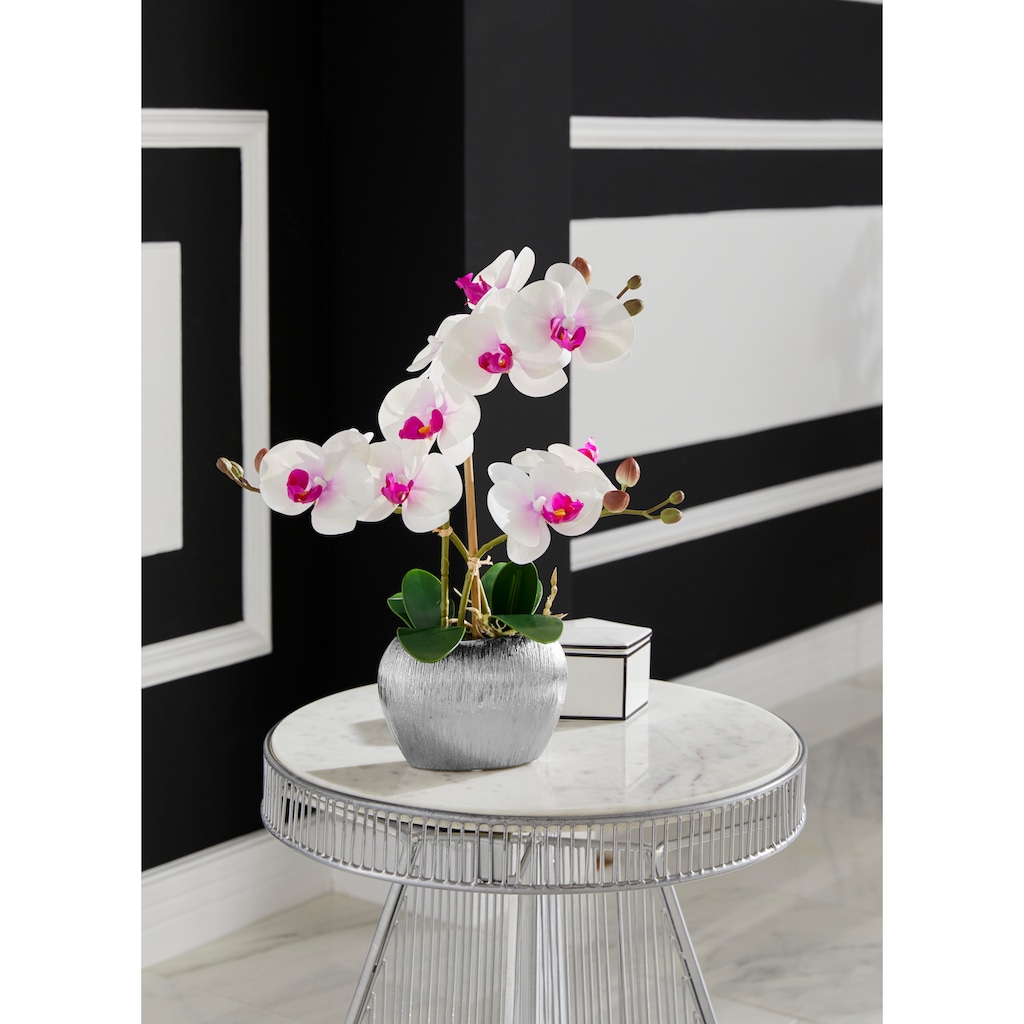 Home affaire Kunstpflanze »Orchidee«
