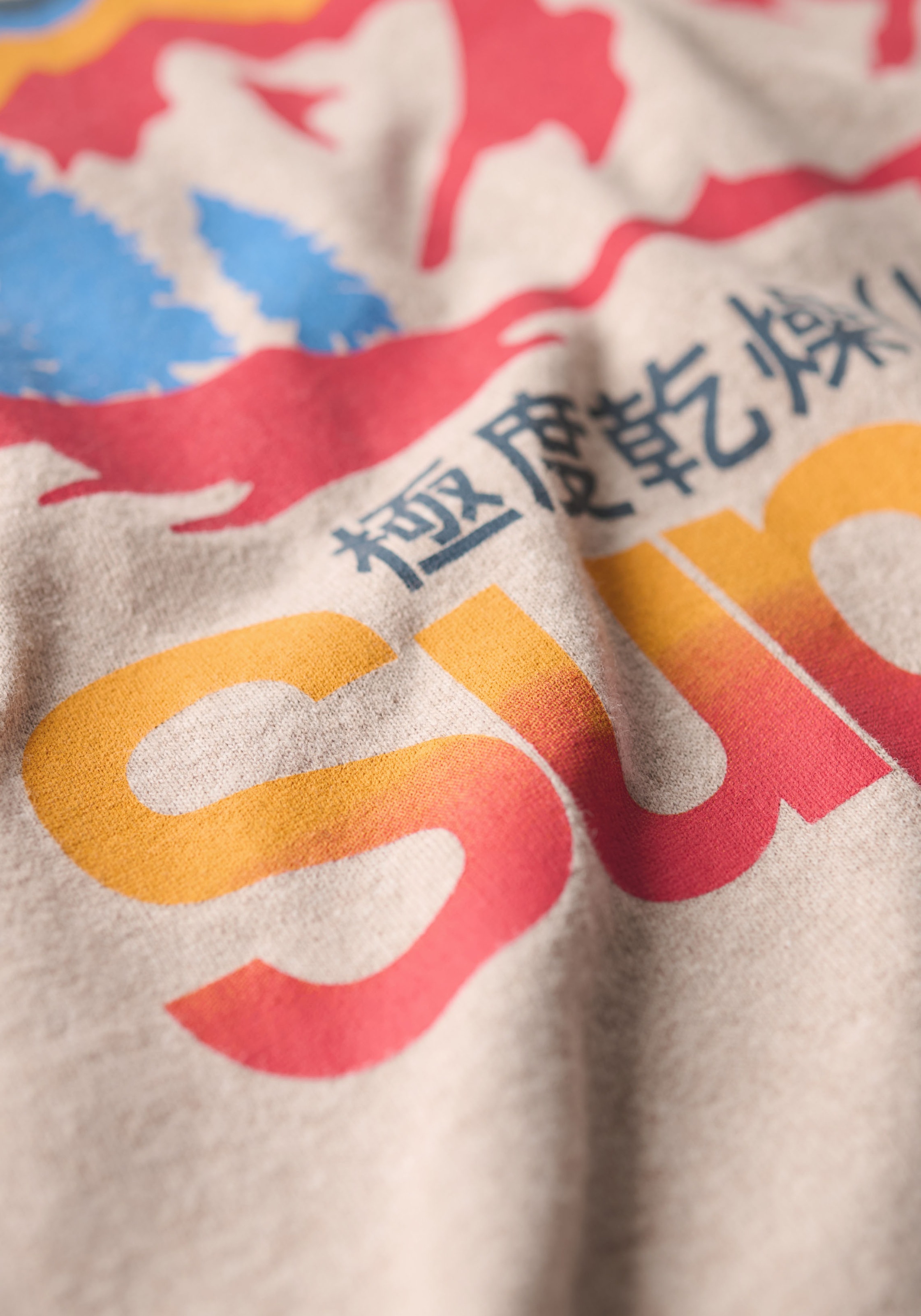 Superdry Rundhalsshirt »CL GREAT OUTDOORS GRAPHIC TEE«