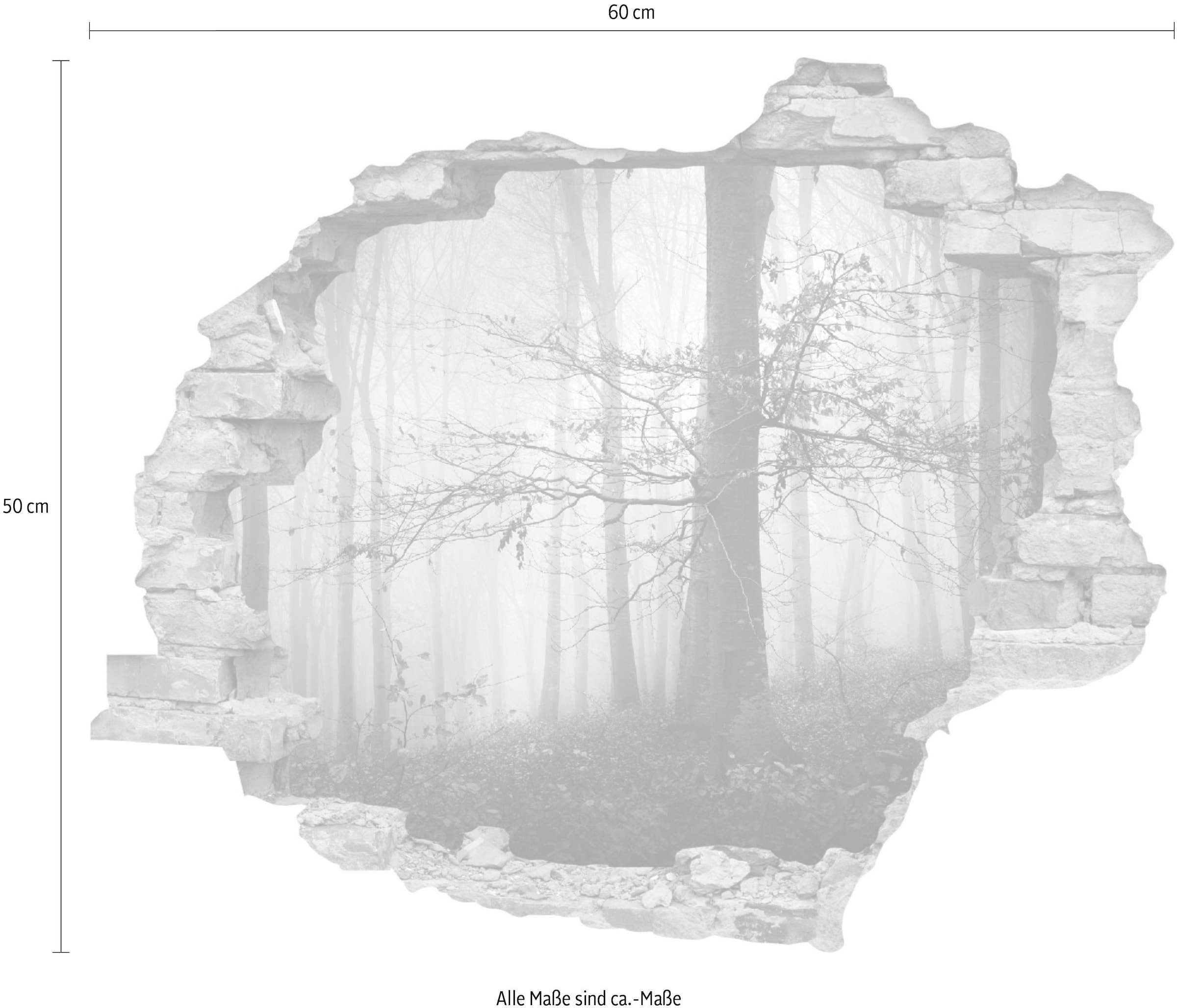 »Wald im im Jelmoli-Online entdecken (1 Herbst«, queence St.) ❤ Wandtattoo Shop