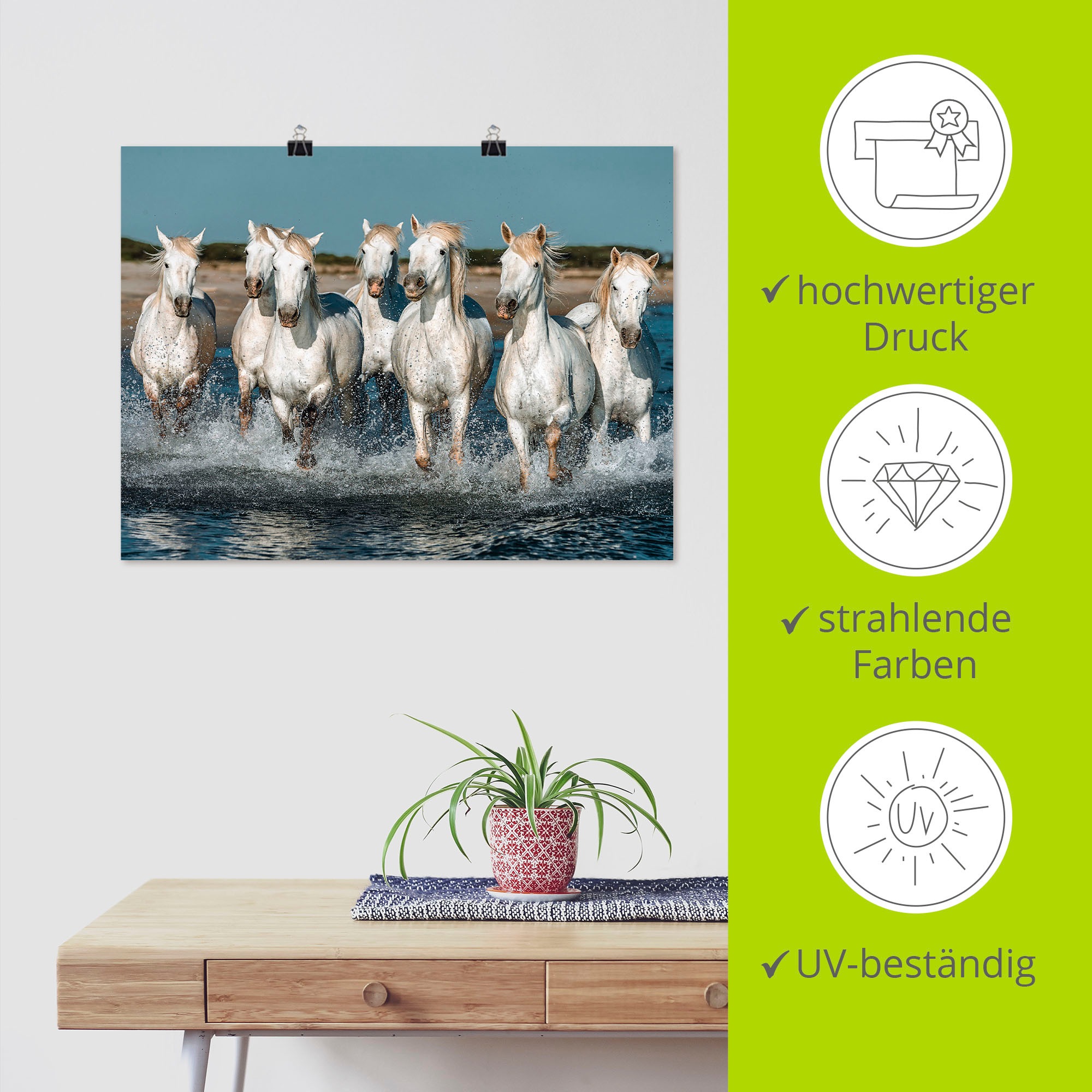 Artland Wandbild »Camargue Pferde galoppieren am Strand«, Haustiere, (1 St.), als Alubild, Outdoorbild, Leinwandbild, Poster, Wandaufkleber