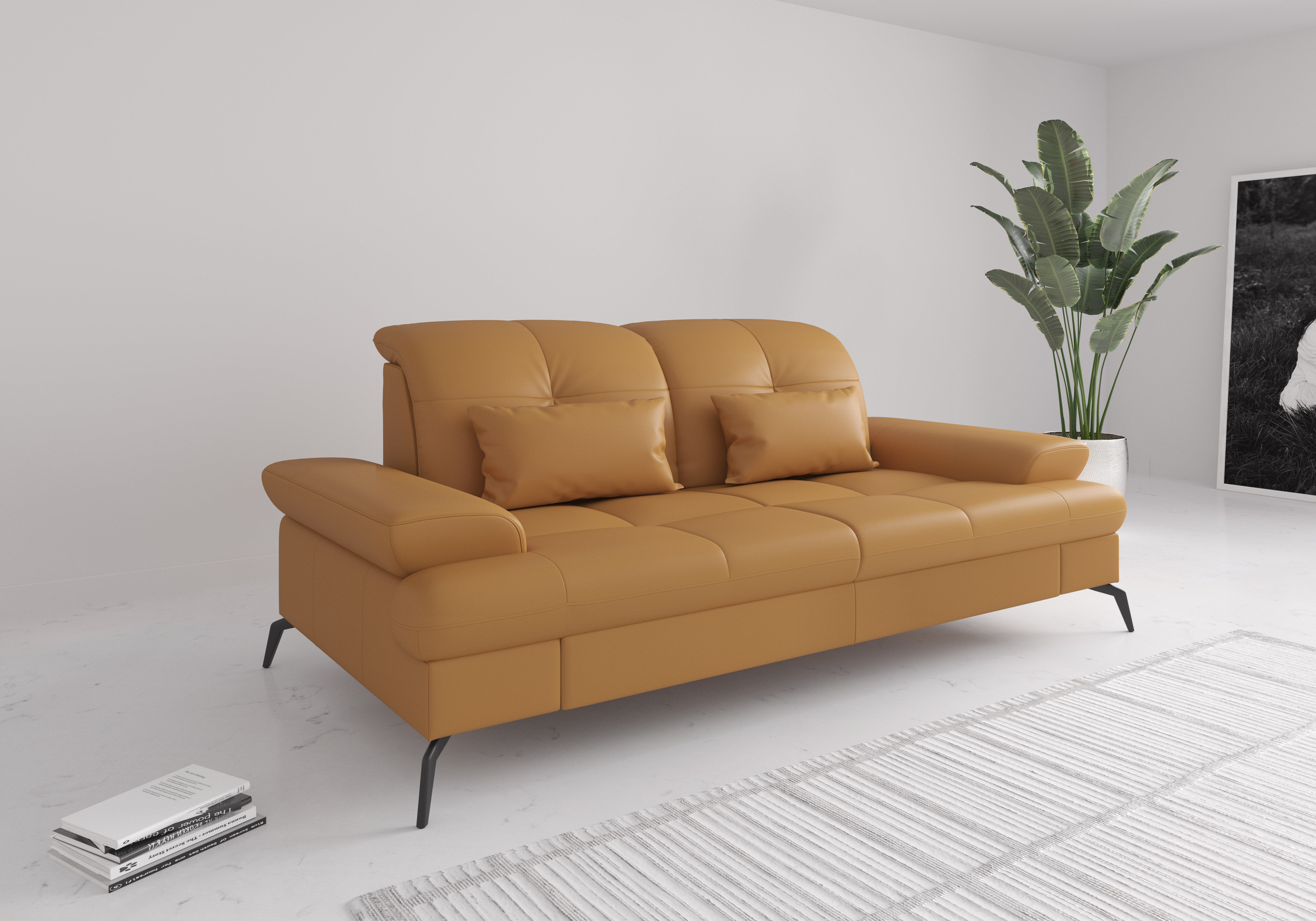 sit&more 2,5-Sitzer "Amica, inkl. Sitztiefenverstellung und Armteilverstellung" wahlweise mit Kopfteilverstellung und Bettfunktion