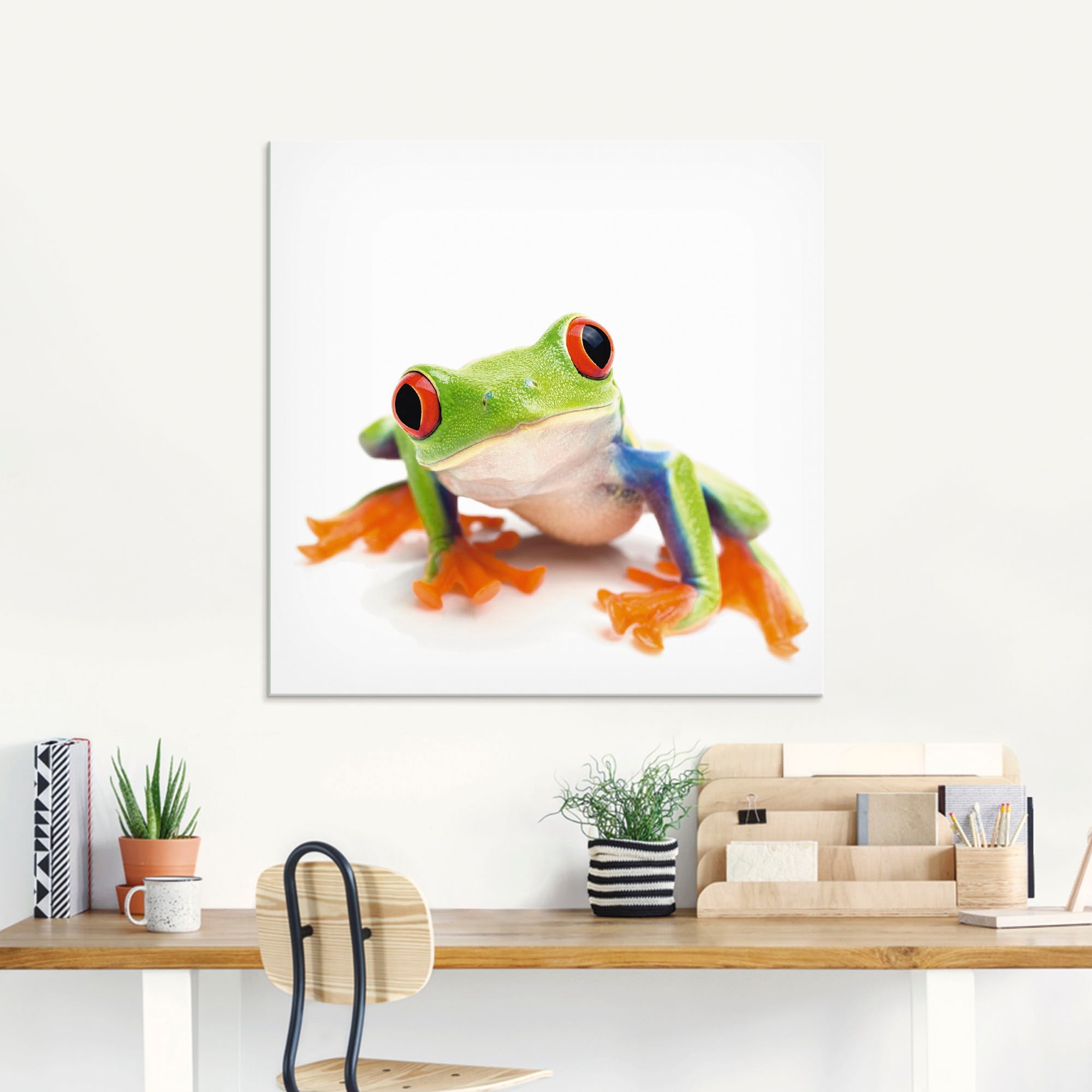 Artland Glasbild »Grossaufnahme eines Frosches vor weiss«, Wassertiere, (1 St.), in verschiedenen Grössen