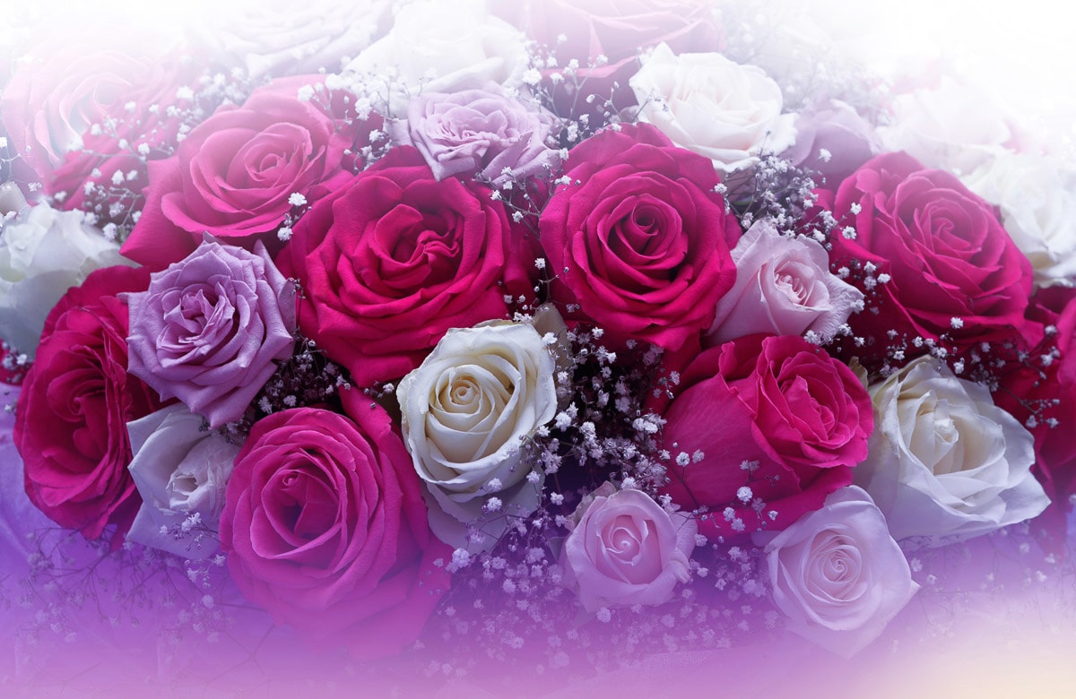 Papermoon Fototapete »ROSEN-BLUMEN FANTASIE ABSTRAKT KUNST TEXTUR DESIGN ART«