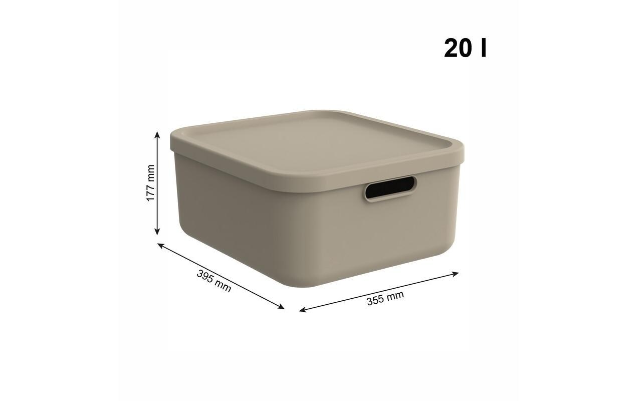 Rotho Babydesign Aufbewahrungsbox »KAYO M«