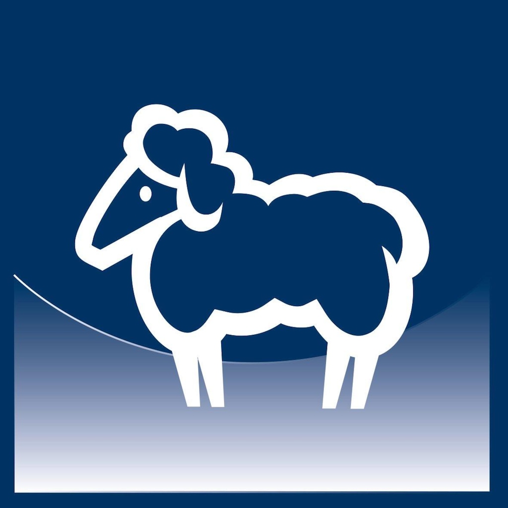 billerbeck Naturhaarbettdecke »Organic Wool Uno«, leicht, Füllung 100% Schafschurwolle aus kontrolliert biologischer Tierhaltung (kbT), Bezug 100% Baumwolle, Soft-Batist, aus kontrolliert biologischem Anbau (kbA), (1 St.)