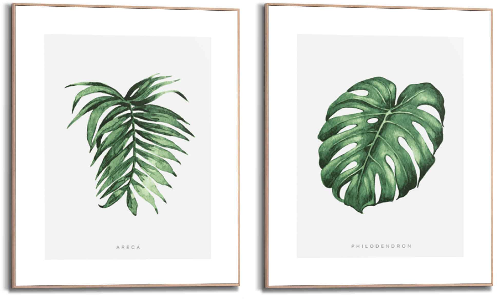 Natur, - (2 Wandbild ❤ - »Wandbilder ordern im St.) Philodendron - Reinders! Naturmotiv Palme«, Areca Set Shop Pflanze Jelmoli-Online