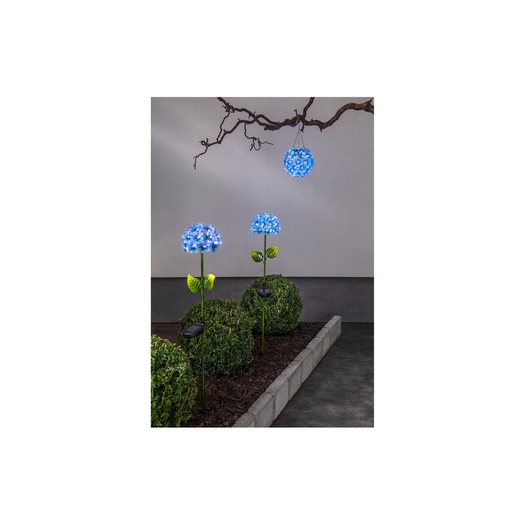 STAR TRADING Gartenleuchte »Solar Decoration Hortensia«