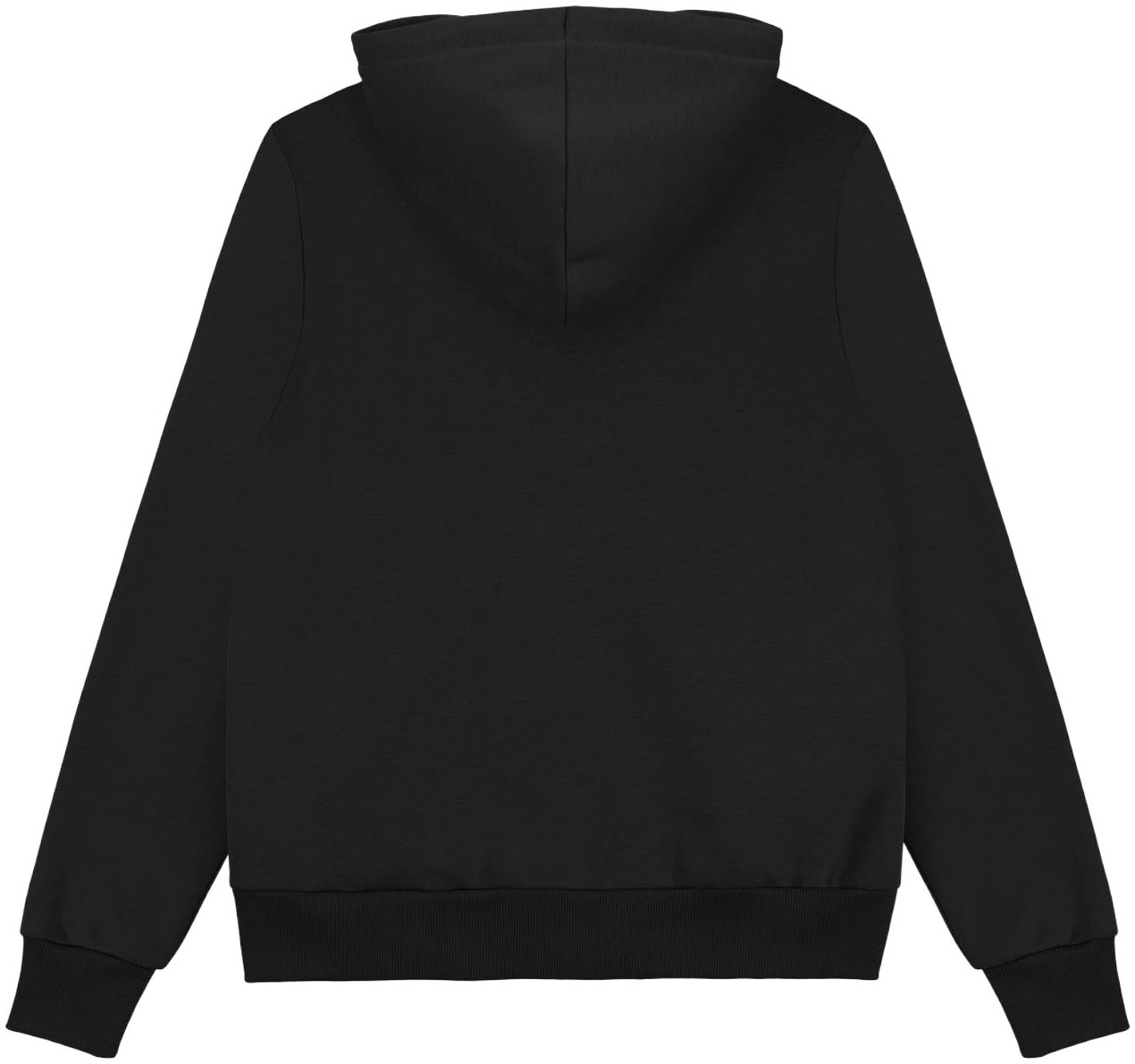 Colmar Sweatjacke »MENS SWEATSHIRT«, regular fit, mit Kapuze
