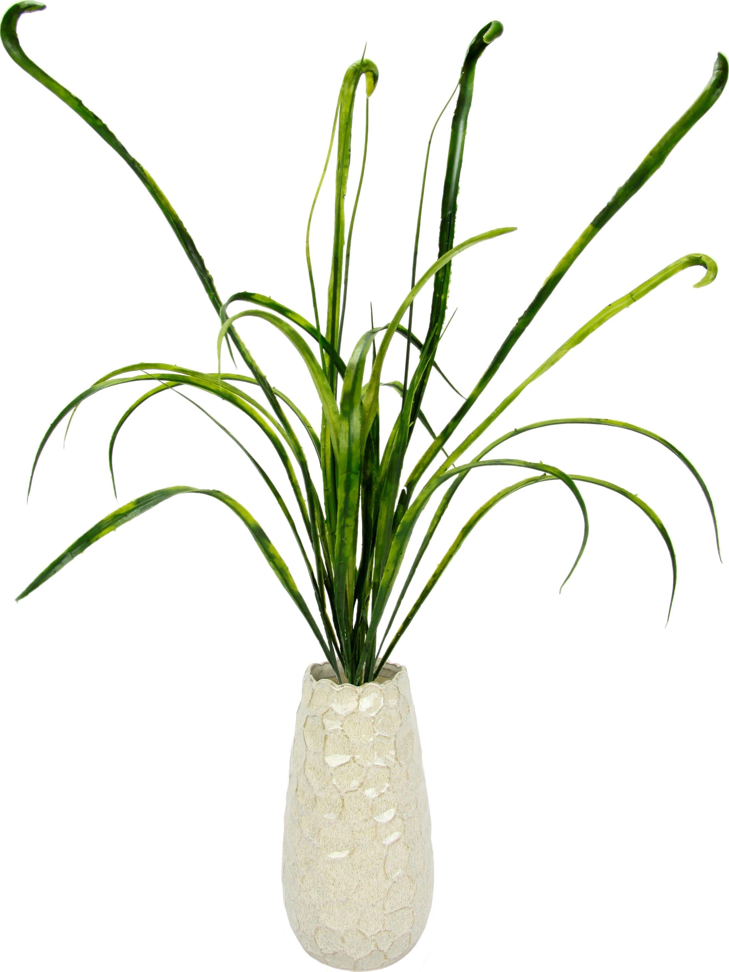 I.GE.A. Kunstgras »Grasbusch«, in Vase online bestellen | Jelmoli-Versand | Kunstgräser