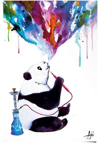 Reinders! Poster »Panda Shisha«, (1 St.) kaufen