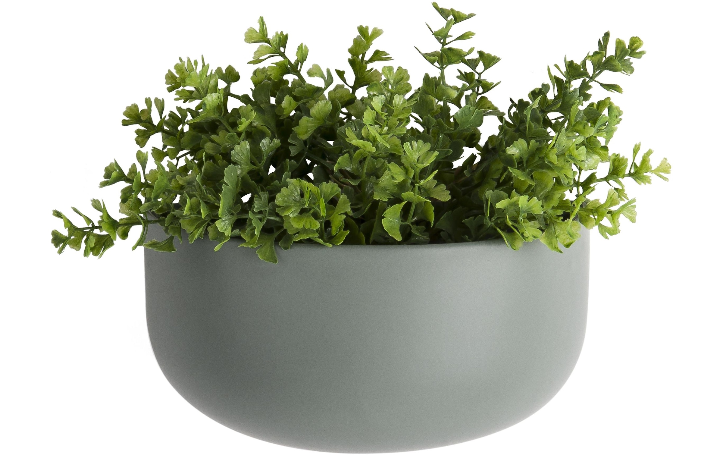 Present Time Blumentopf »present time Blumentopf Oval«