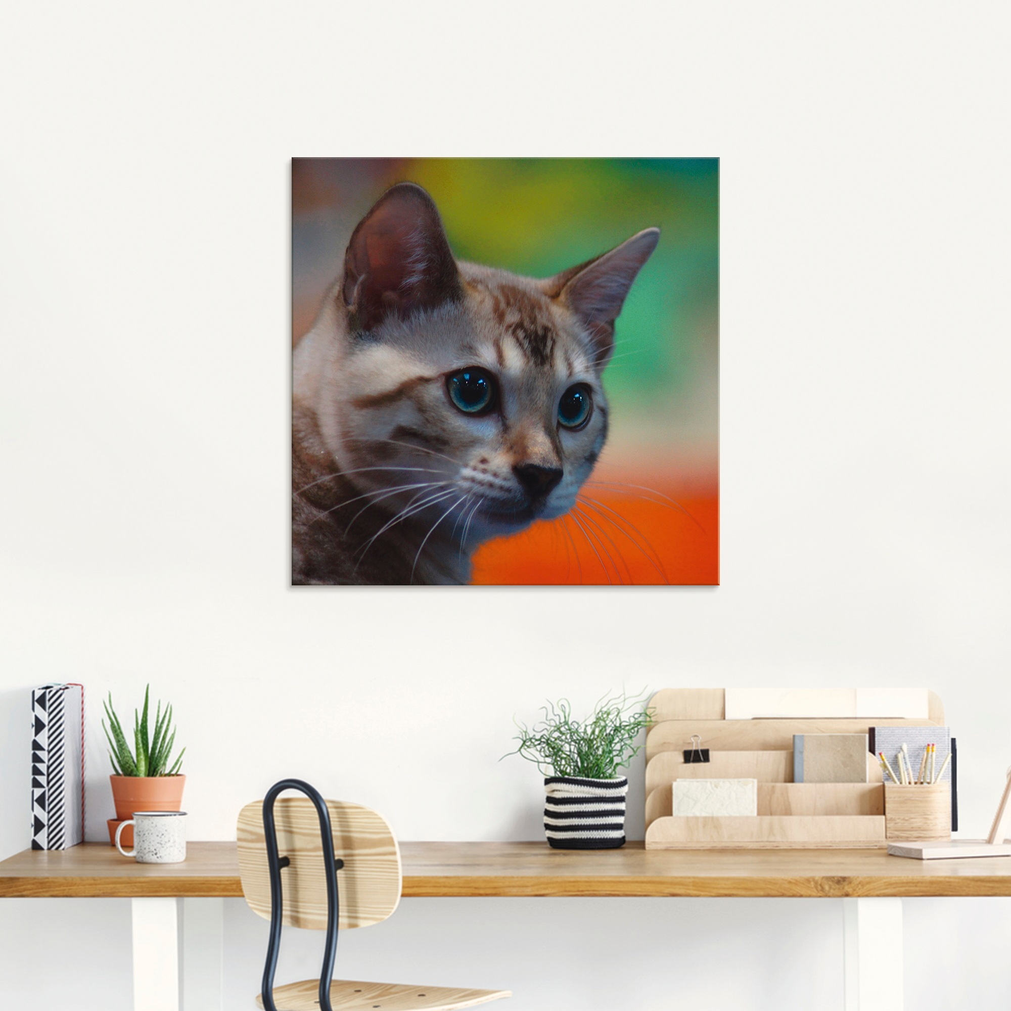 Artland Glasbild »Weisse Bengalkatze«, Haustiere, (1 St.), in verschiedenen Grössen