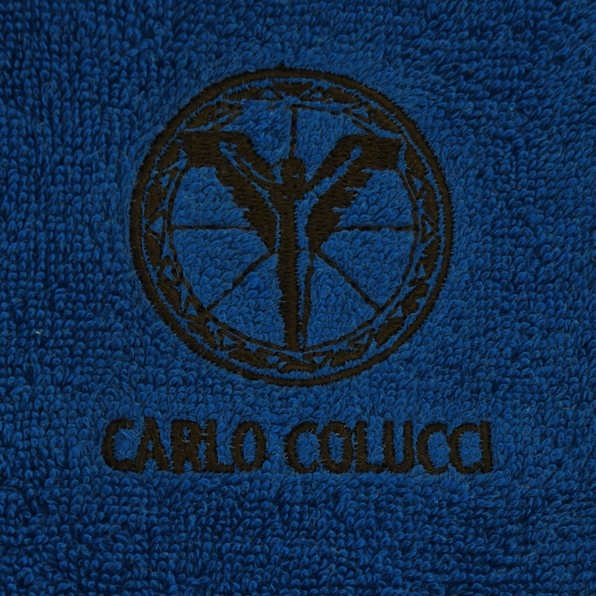 Logo-Stickerei »Sandro«, St.), | (1 COLUCCI bestellen Jelmoli-Versand mit Strandtuch online CARLO