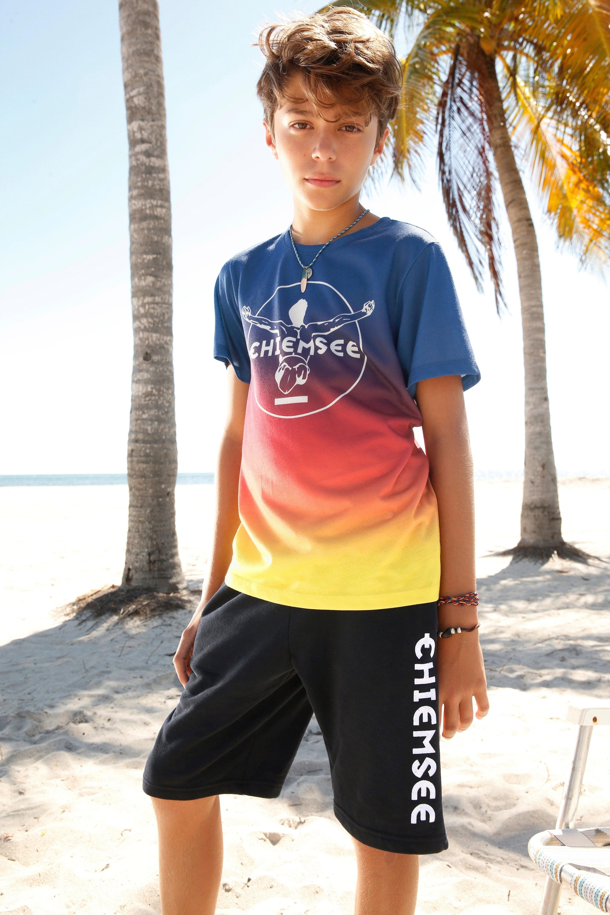 vorn Druck Chiemsee im T-Shirt, Farbverlauf | mit Jelmoli-Versand günstig bestellen ✵