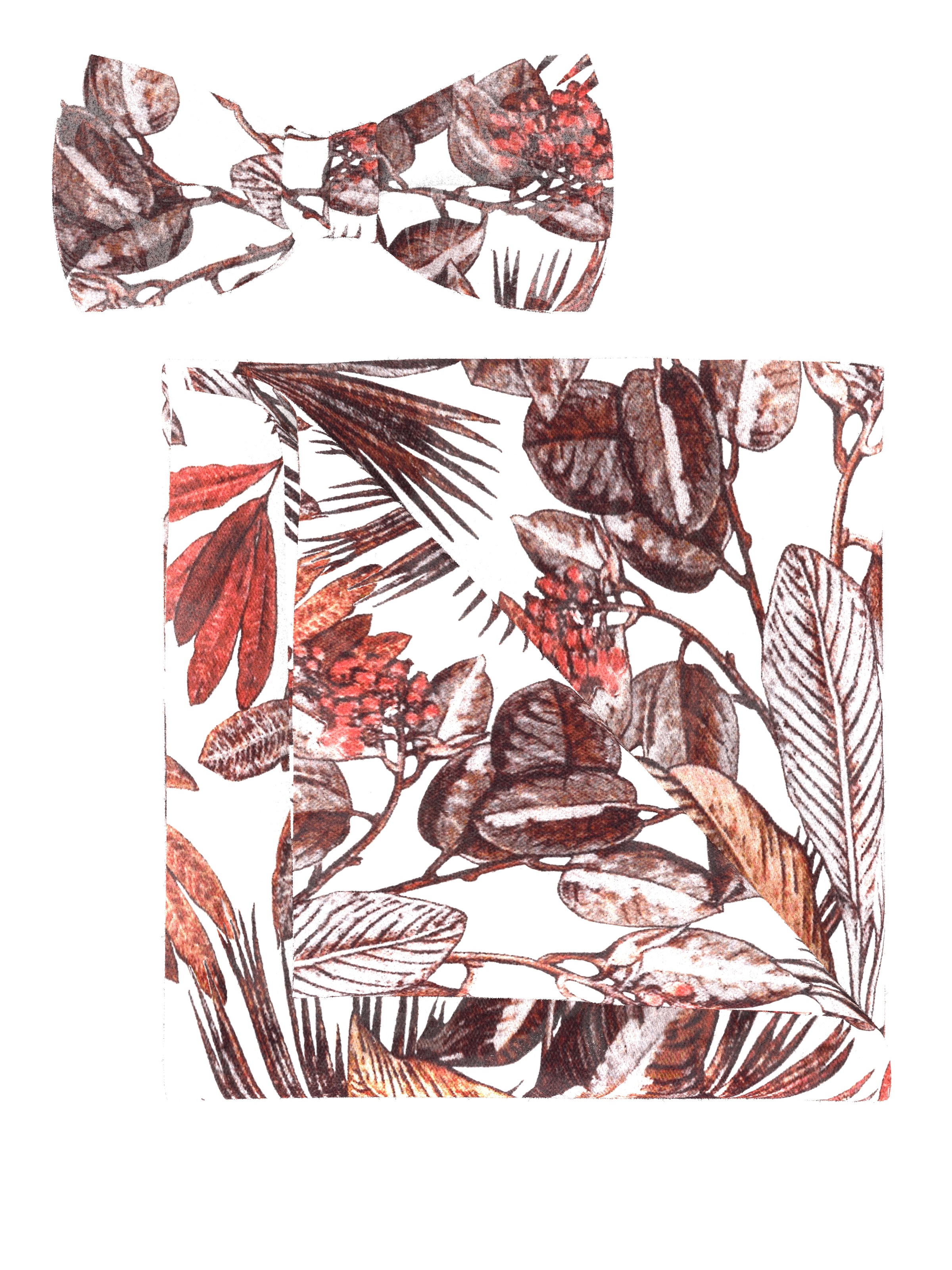 OLYMP Fliege Set