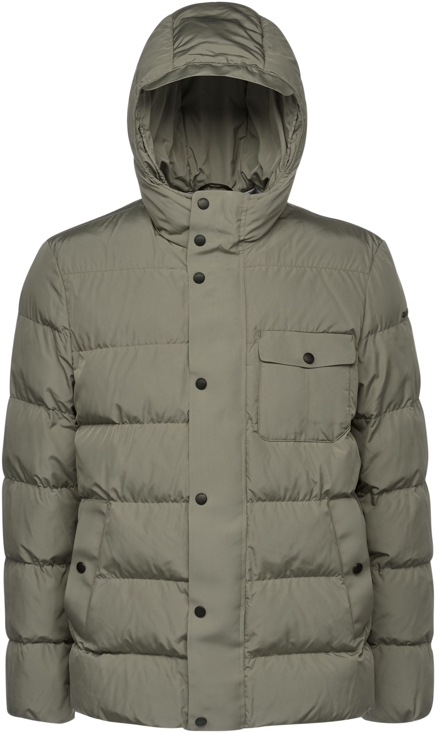 Geox Steppjacke »PIEVE«, mit Kapuze, mit verdecktem Reissverschluss & Druckern, Kapuze mit Schirm, 4 Taschen