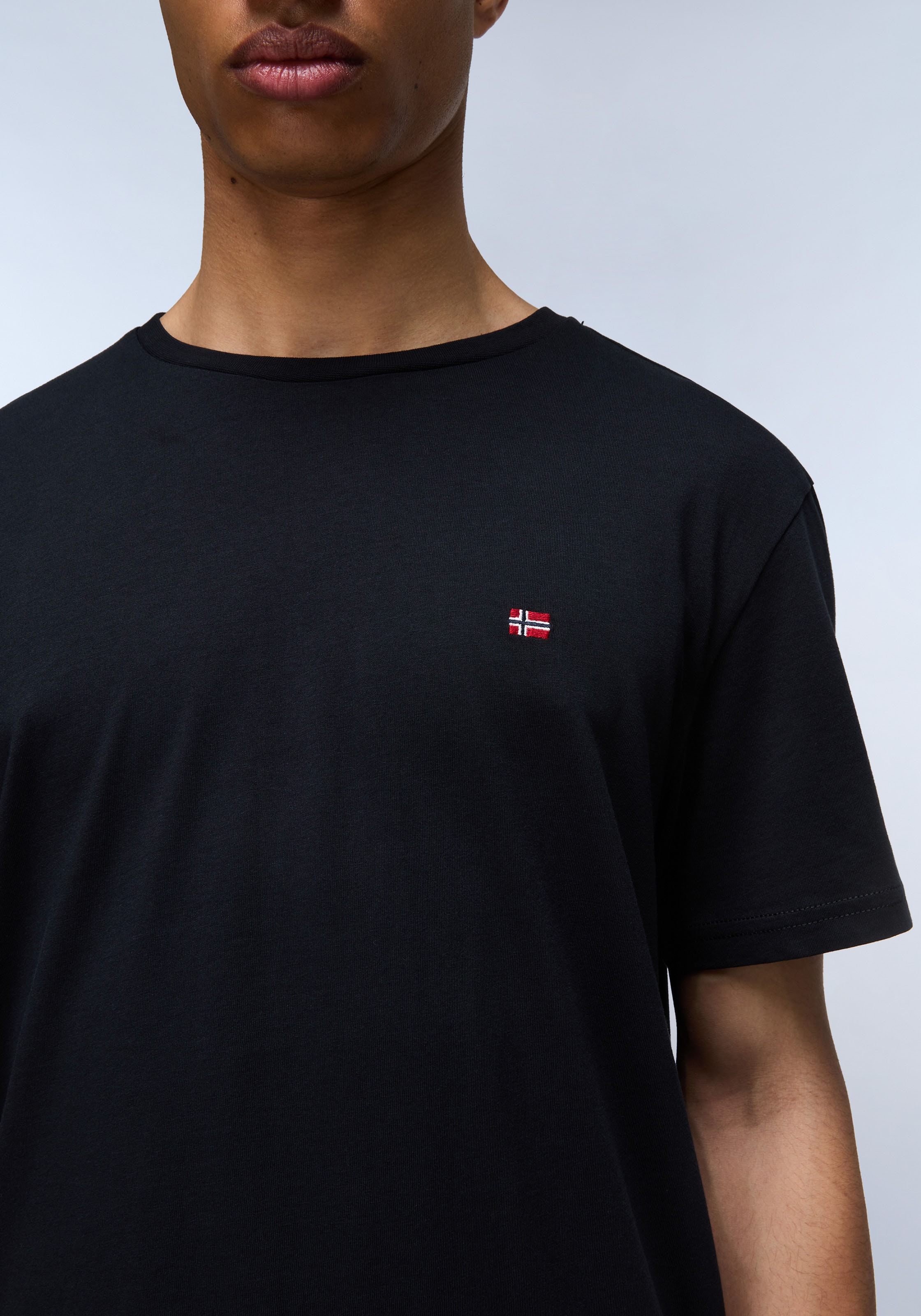 Napapijri T-Shirt »SALIS SS SUM SHARK SKIN HCB«