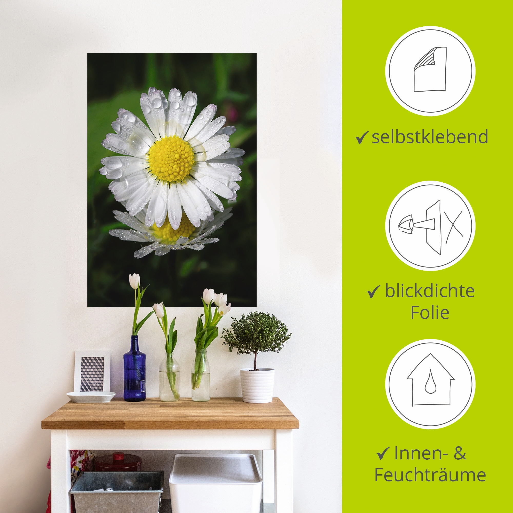Artland Wandfolie »Gänseblümchen mit Tropfen«, Blumen, (1 St.), selbstklebend
