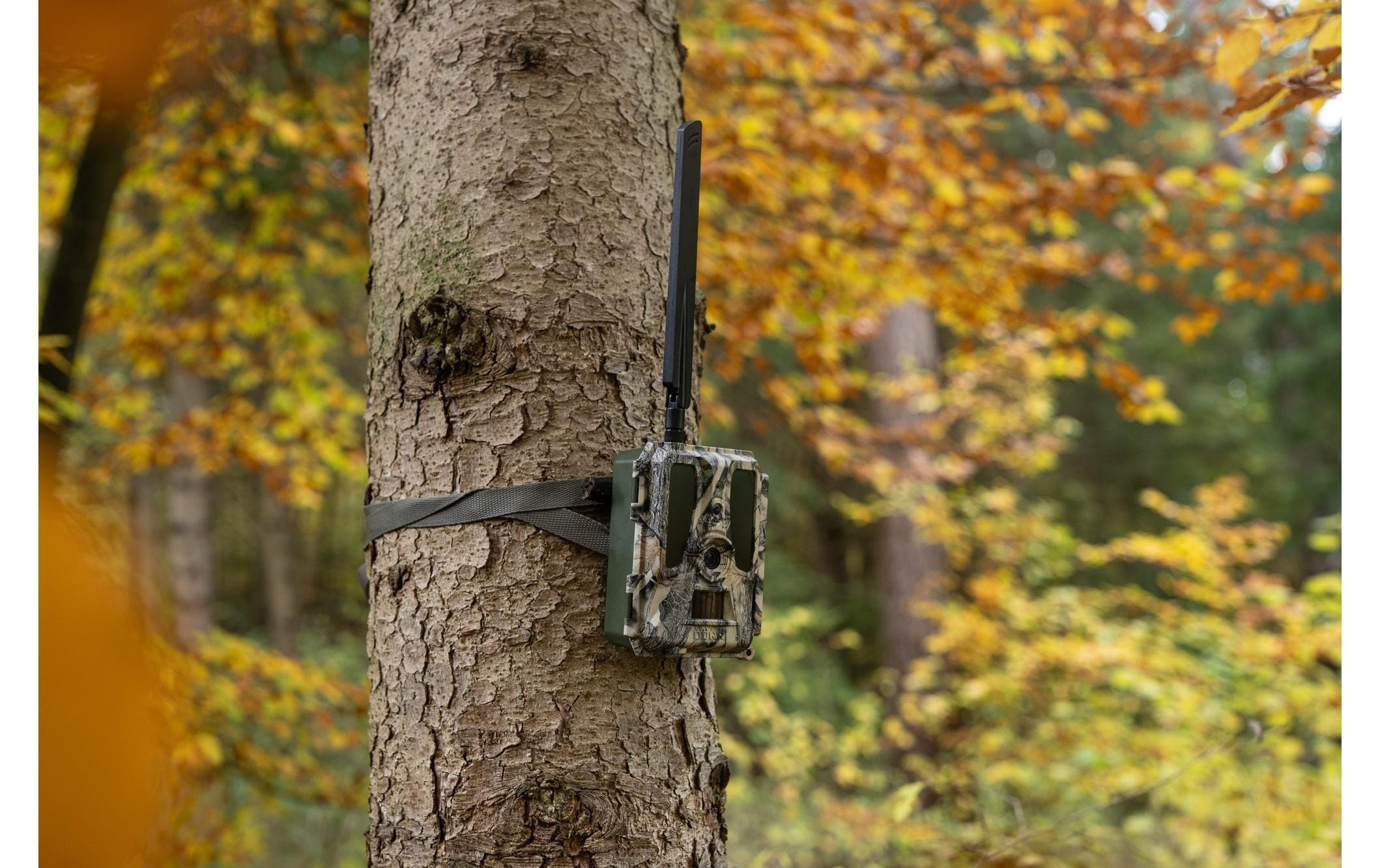 Wildkamera »Dörr Wildkamera SnapShot Cloud Pro 4G«, Aussenbereich