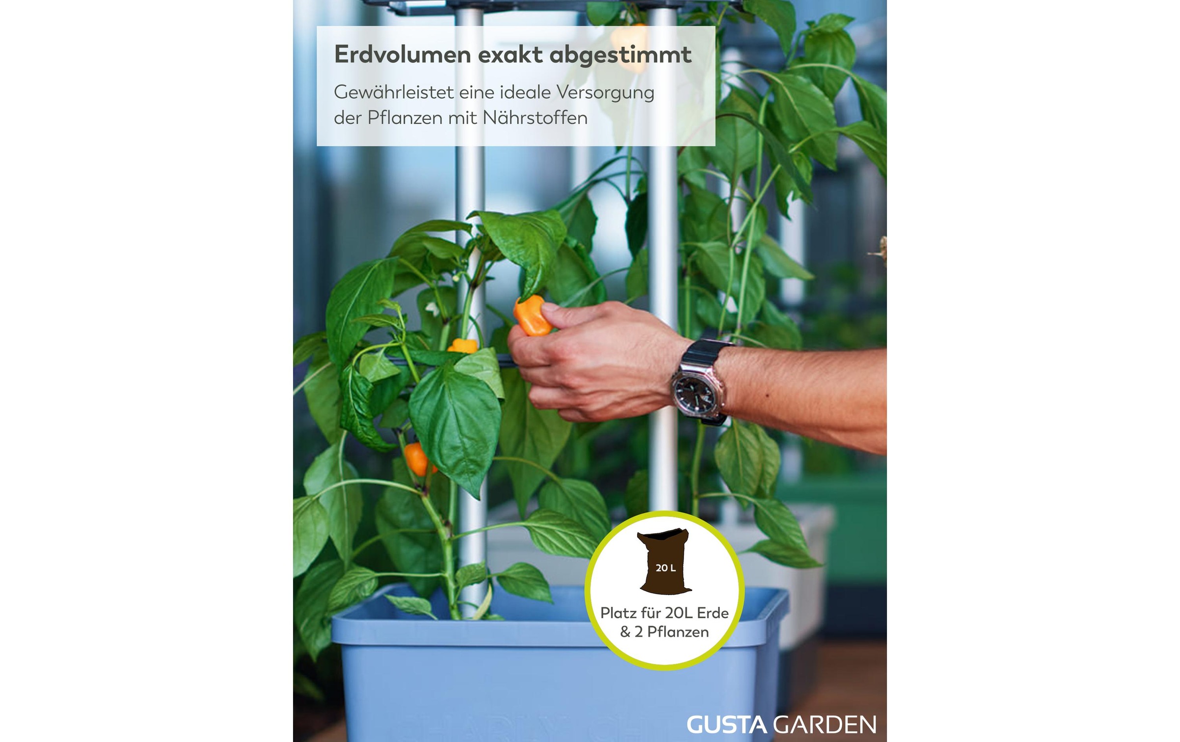 Gusta Garden Anzuchttopf »Charly Chili XL«