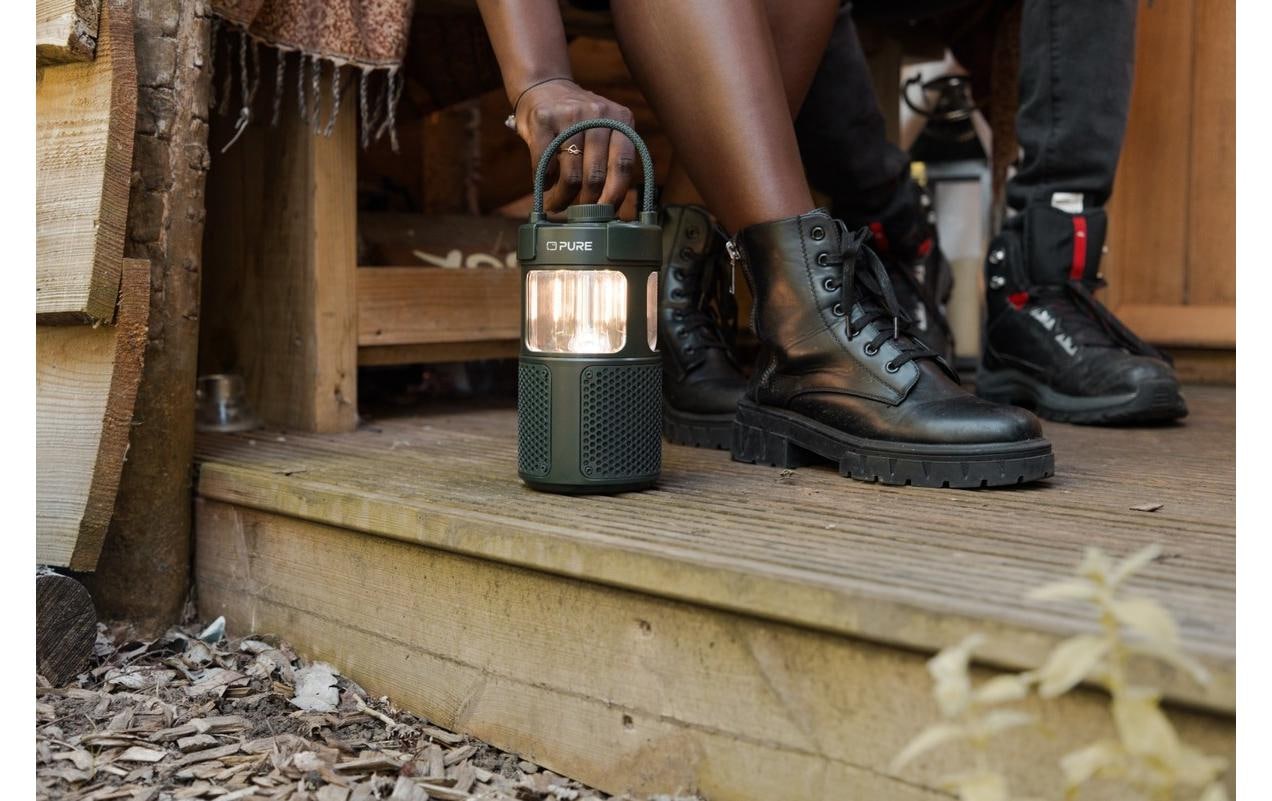 Pure Radio »Woodland Glow«, (Bluetooth)