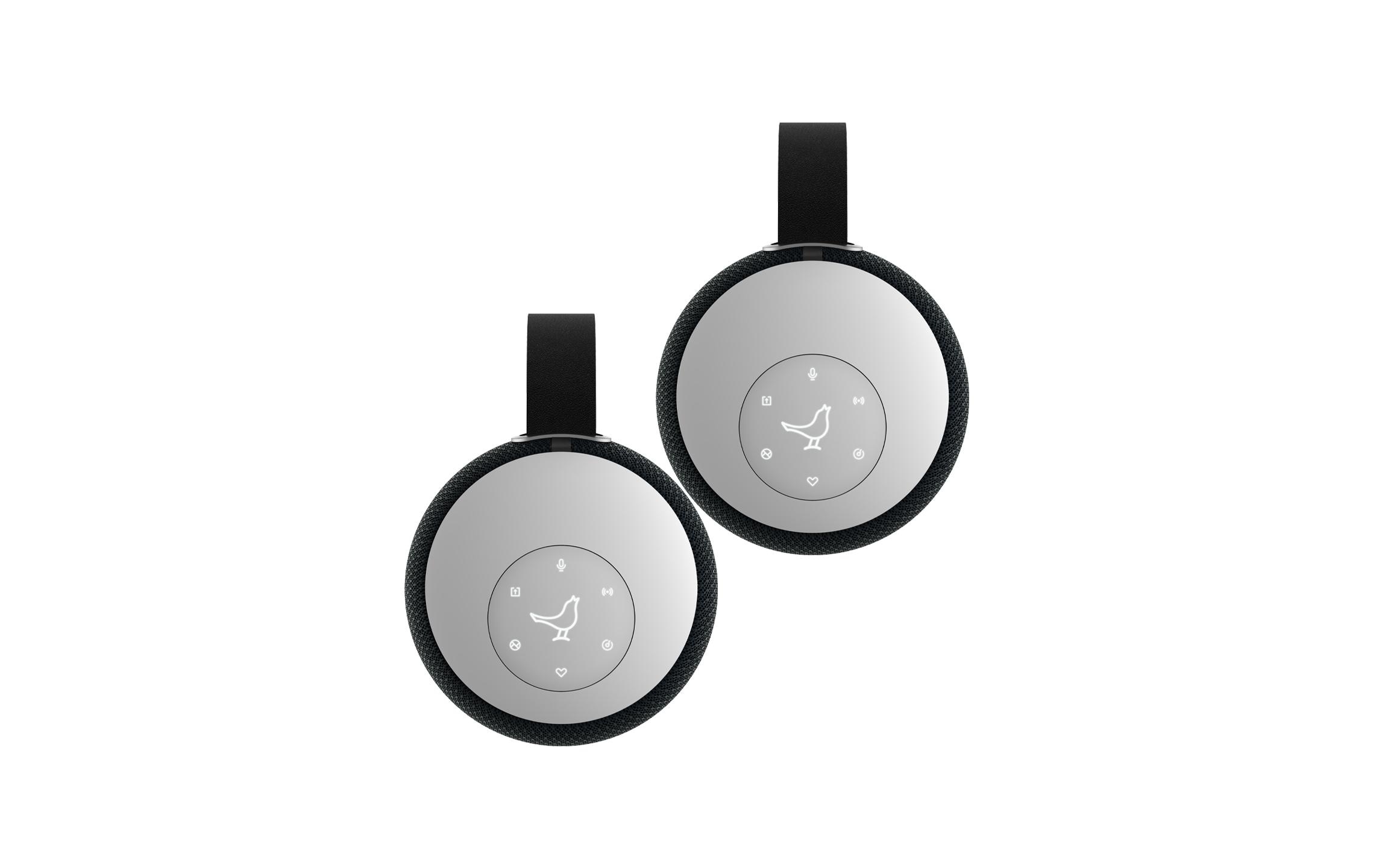 Libratone chromecast store