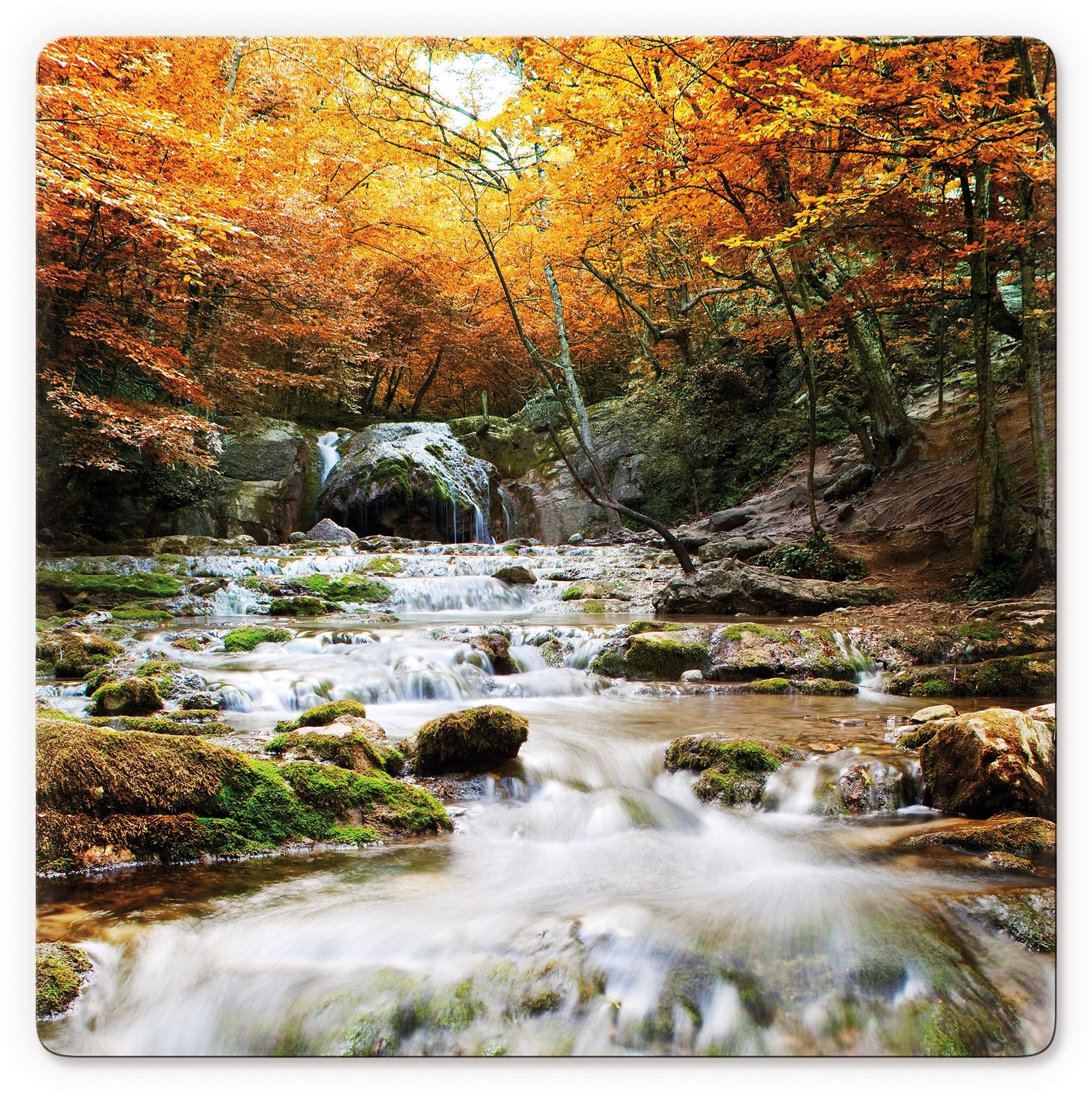 Wall-Art online Glasbild »Autumn shoppen Waterfall«, | Jelmoli-Versand 50/50 cm