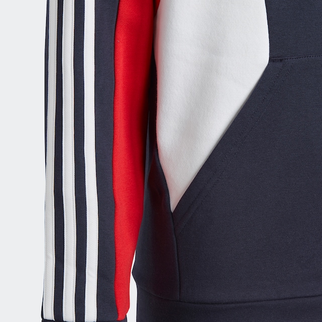 ✵ adidas Sportswear Sweatshirt »COLORBLOCK 3STREIFEN HOODIE« günstig  entdecken | Jelmoli-Versand