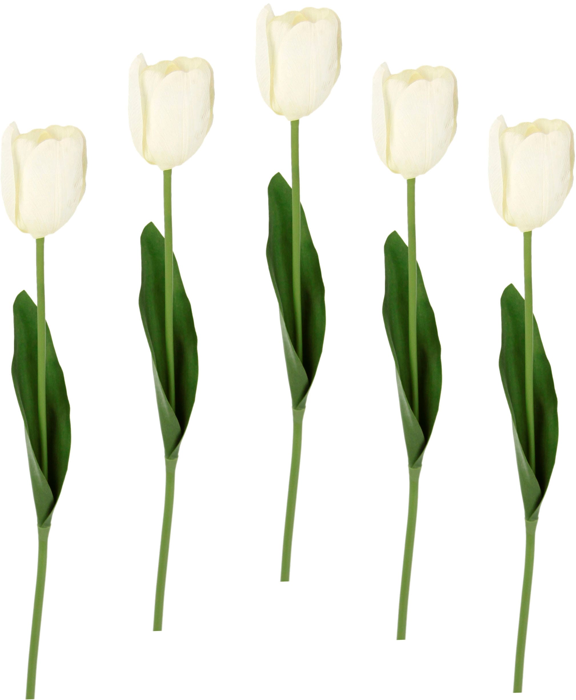I.GE.A. Kunstblume »Real Touch Tulpen«, 5er Set künstliche Tulpenknospen, Kunstblumen, Stielblume