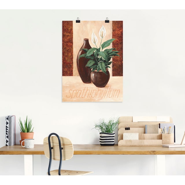 Artland Wandbild »Spathiphyllum - Einblatt«, Pflanzenbilder, (1 St.), als  Alubild, Leinwandbild, Wandaufkleber oder Poster in versch. Grössen online  shoppen | Jelmoli-Versand