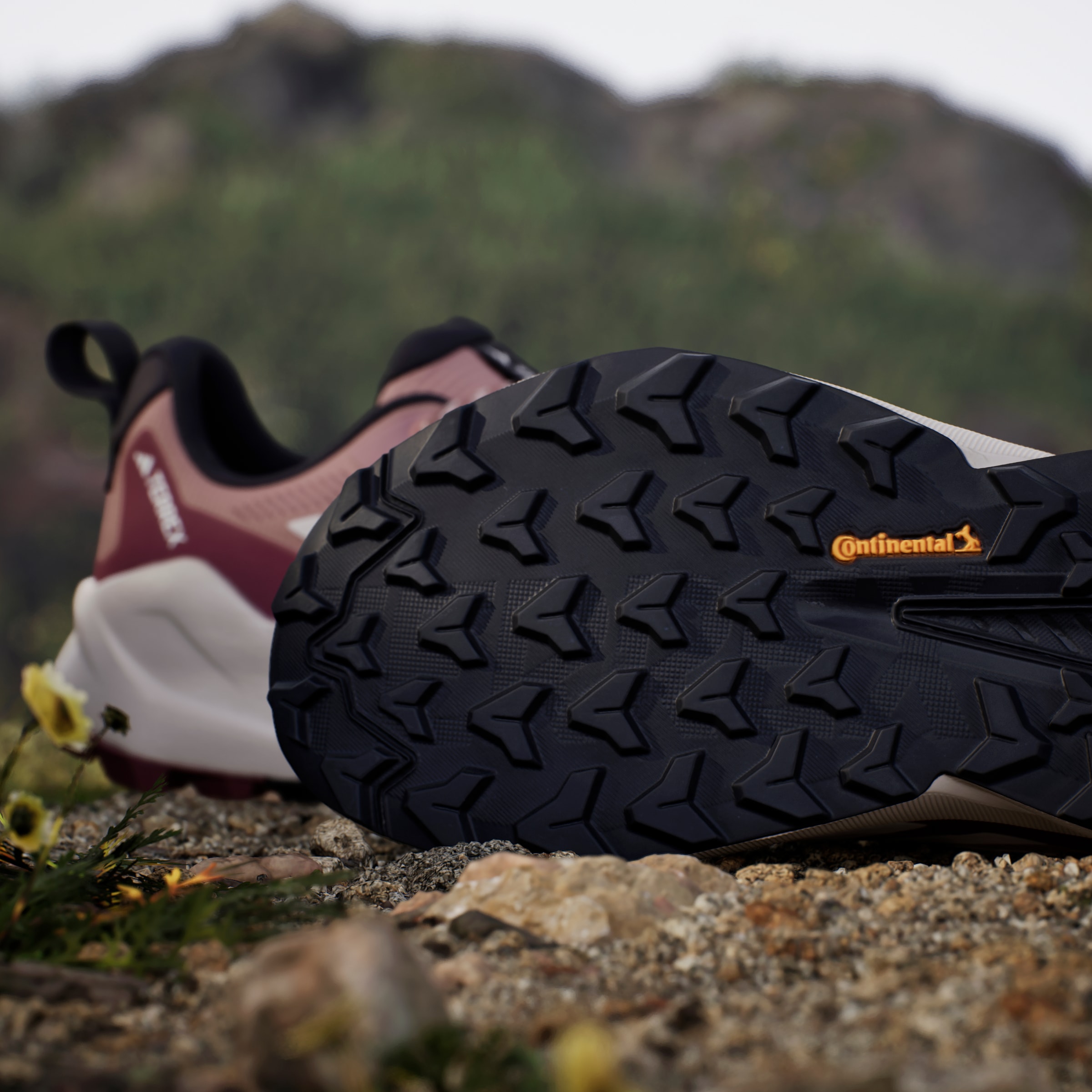 adidas TERREX Wanderschuh »TERREX TRAILMAKER 2.0 GORE-TEX«