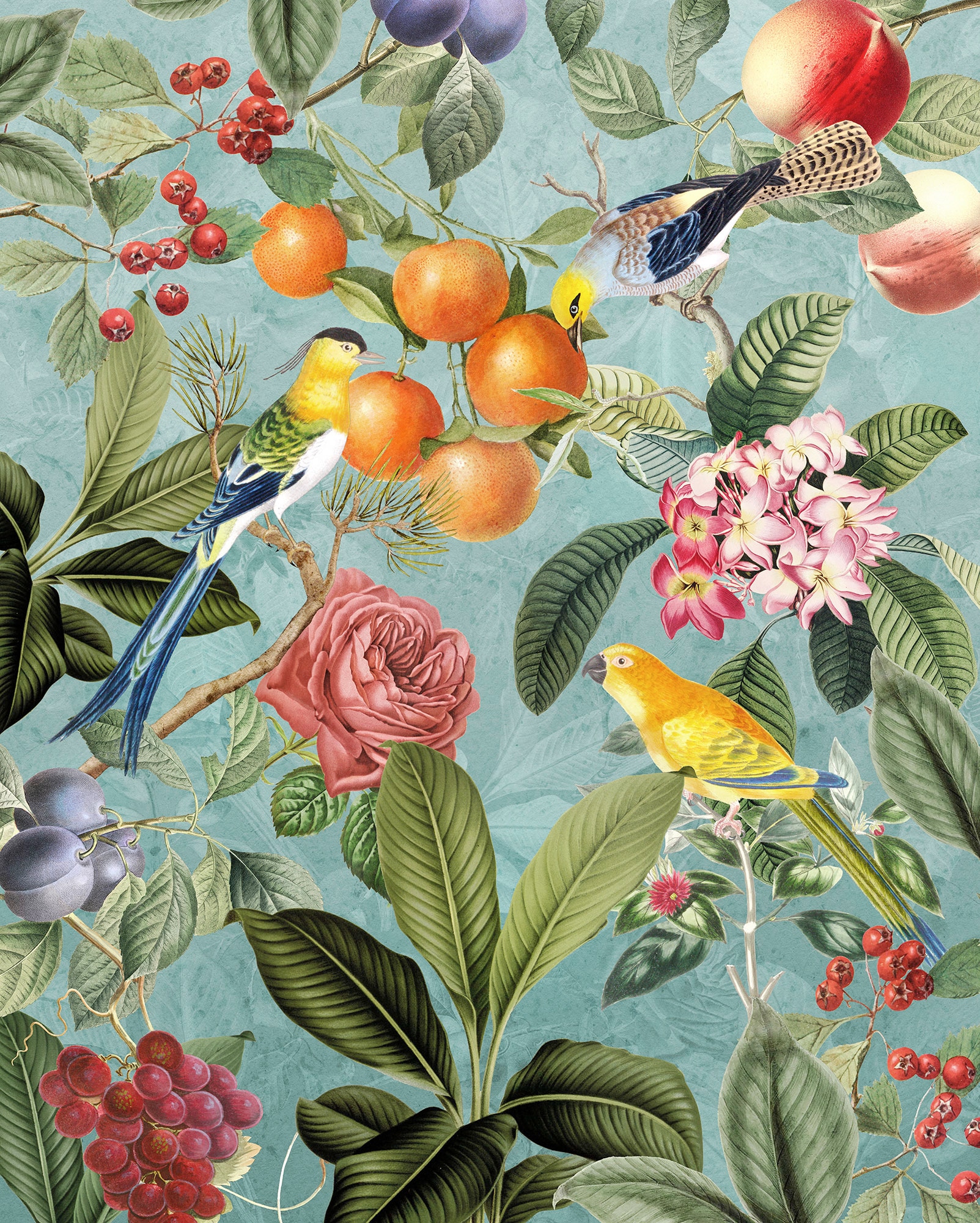 Vliestapete »Birds and Berries«, 200x250 cm (Breite x Höhe)
