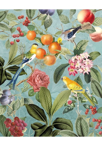 Vliestapete »Birds and Berries«