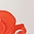 weiss-rot-orange-braun-pink-beere