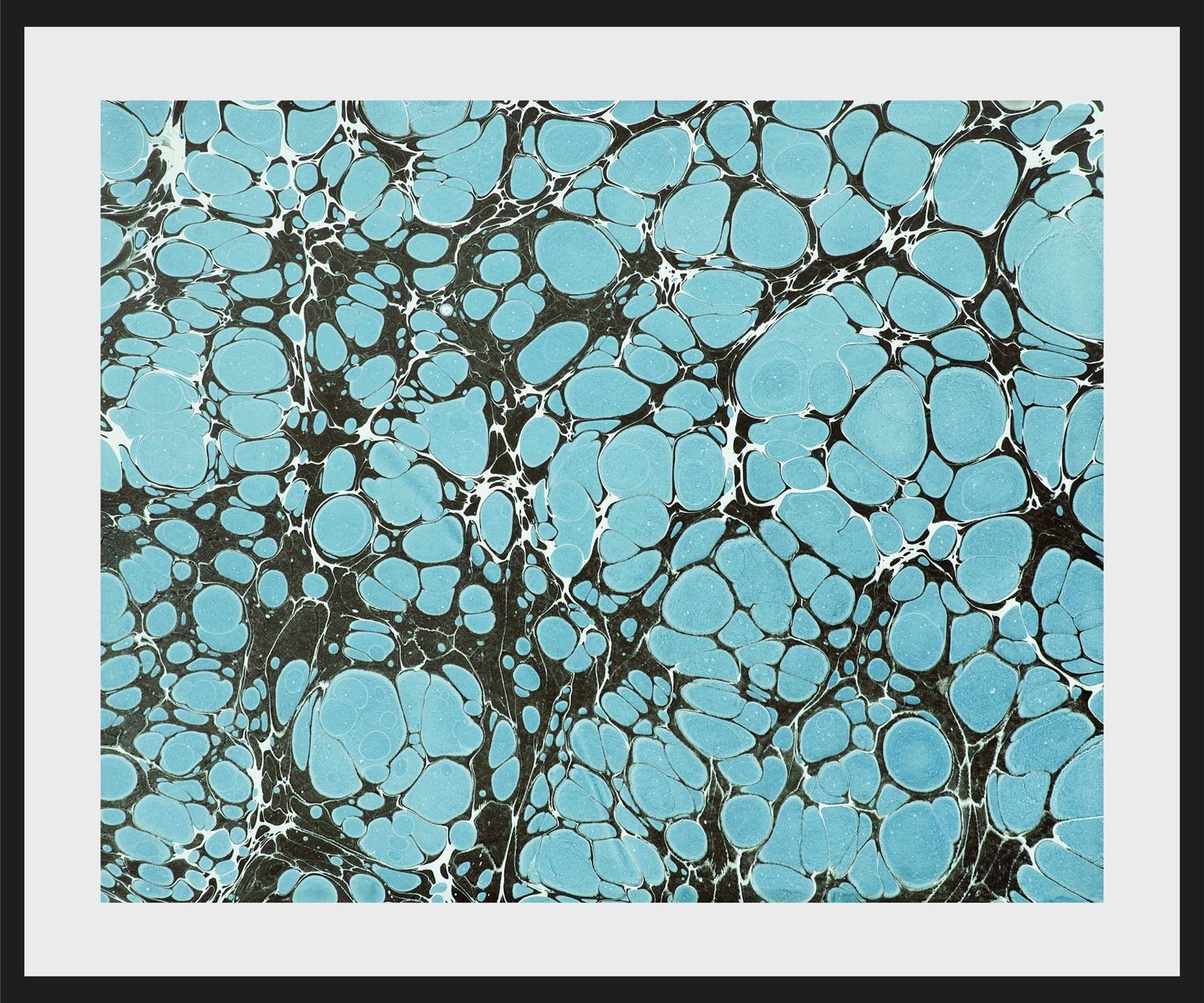 queence Bild "Flora" Abstrakt  Kunst