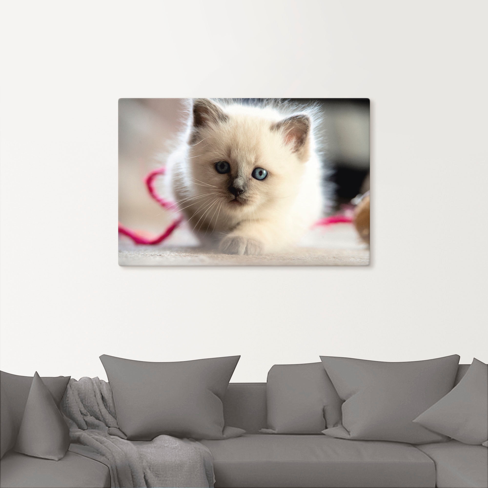 Artland Leinwandbild »Heilige Birma Katze im Spiel«, Katzenbilder, (1 St.), auf Keilrahmen gespannt