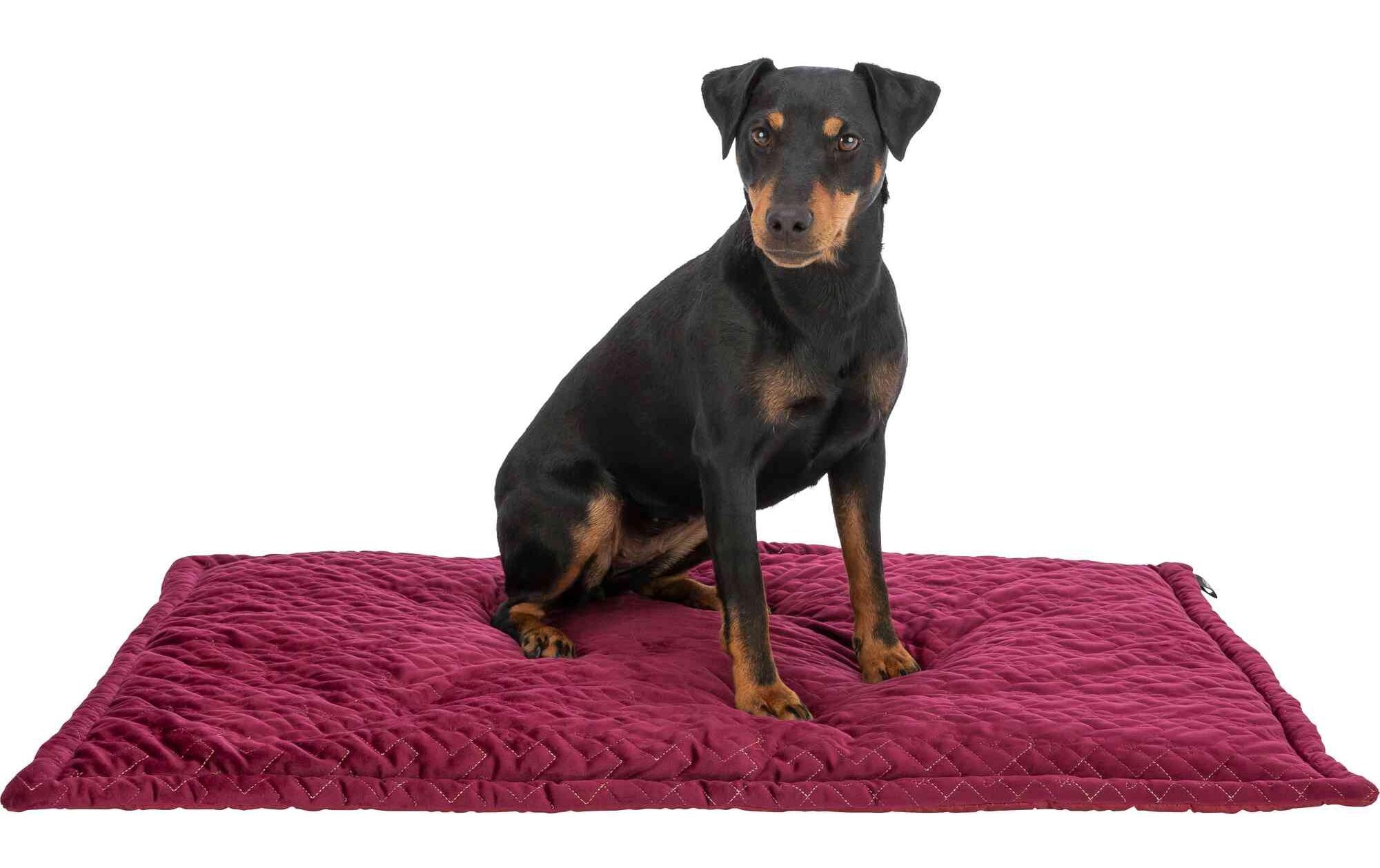 TRIXIE Hundematte »Natalya 90 × 60 cm«