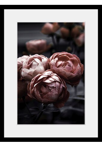 queence Bild »Helen«, Blumen, (1 St.) kaufen