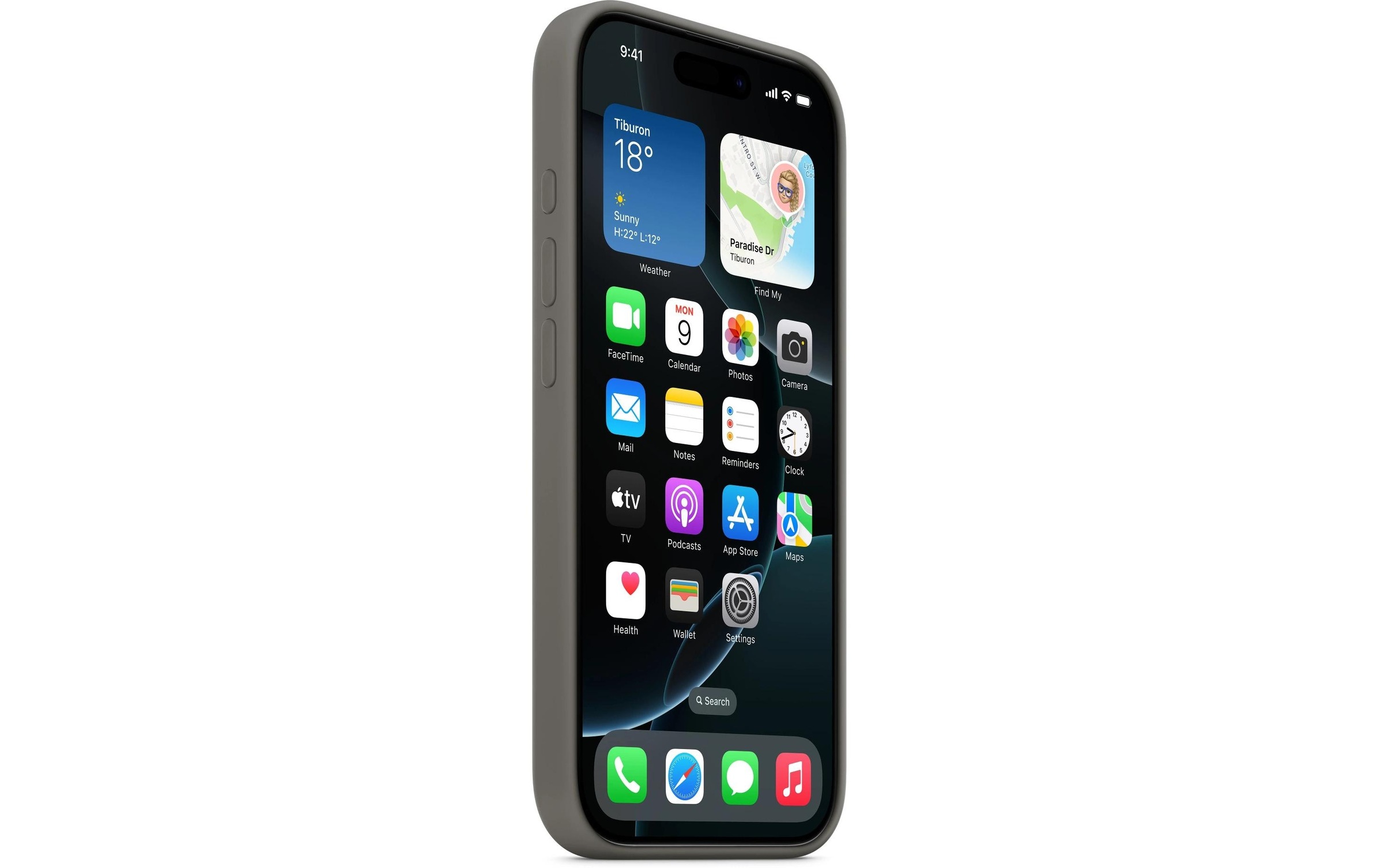 Apple Smartphone Silikon Case mit MagSafe, iPhone 16 Pro, Steingrau