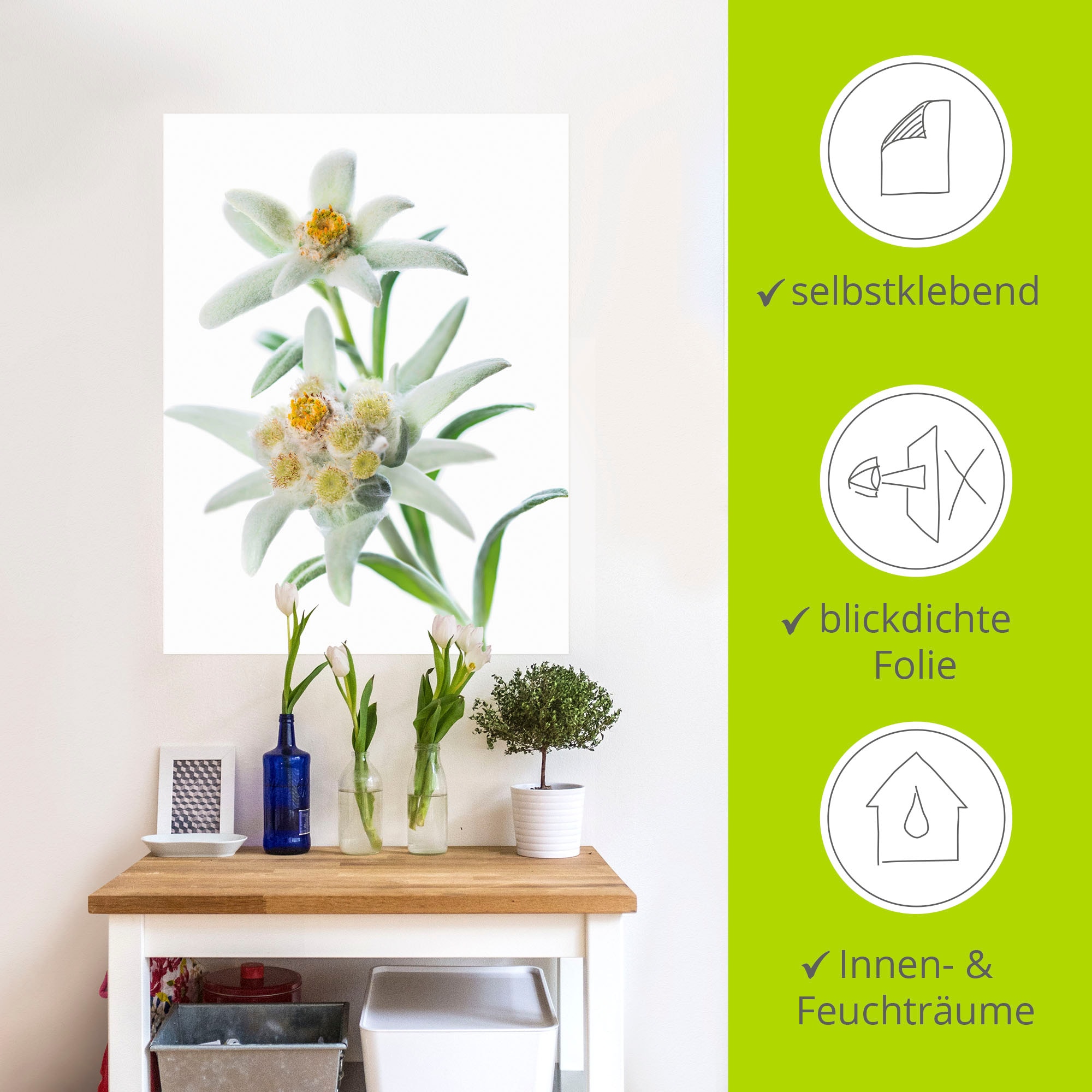 Artland Wandbild »Edelweiss«, Blumen, (1 St.), als Poster, Wandaufkleber in verschied. Grössen