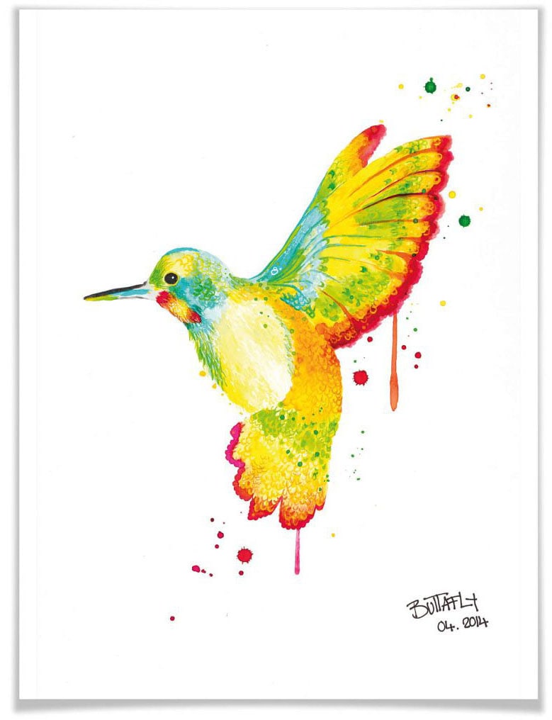 Wall-Art Poster »Kolibri«, Vögel, (1 St.), Poster, Wandbild, Bild,  Wandposter online shoppen | Jelmoli-Versand