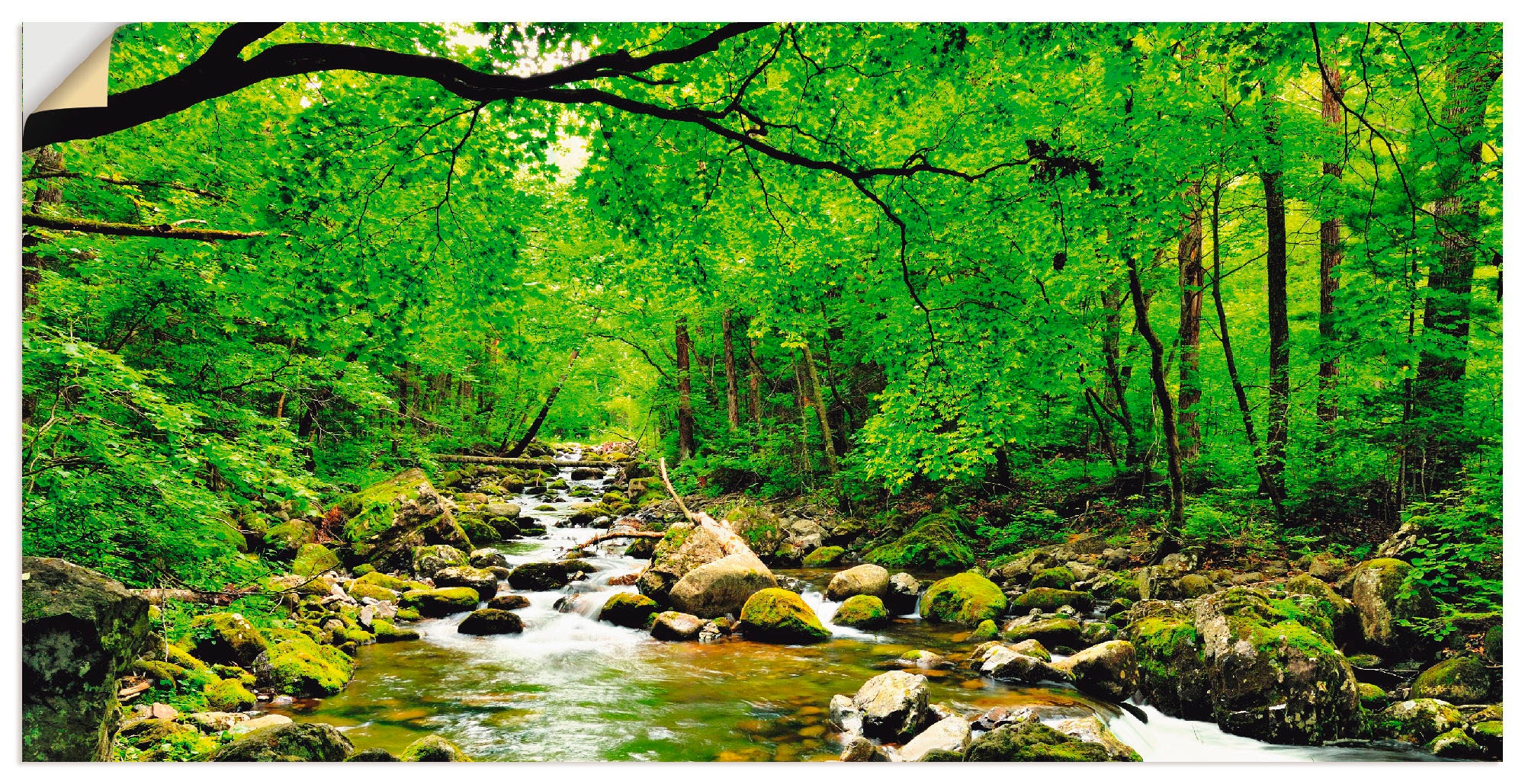 Artland Wandbild »Herbstwald Fluss Smolny«, Wald, (1 St.), als Alubild,  Leinwandbild, Wandaufkleber oder Poster in versch. Grössen online kaufen |  Jelmoli-Versand