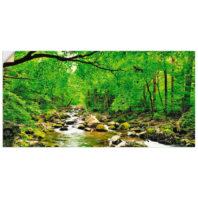 Artland Wandbild »Herbstwald Fluss Smolny«, Wald, (1 St.), als Alubild,  Leinwandbild, Wandaufkleber oder Poster in versch. Grössen online kaufen |  Jelmoli-Versand