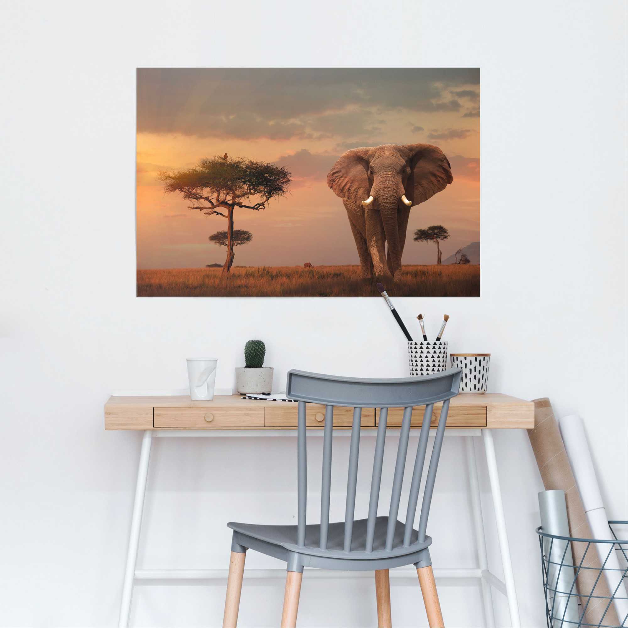 ❤ Reinders! Poster »Afrikas Wildtiere Elefant«, (1 St.) entdecken im  Jelmoli-Online Shop