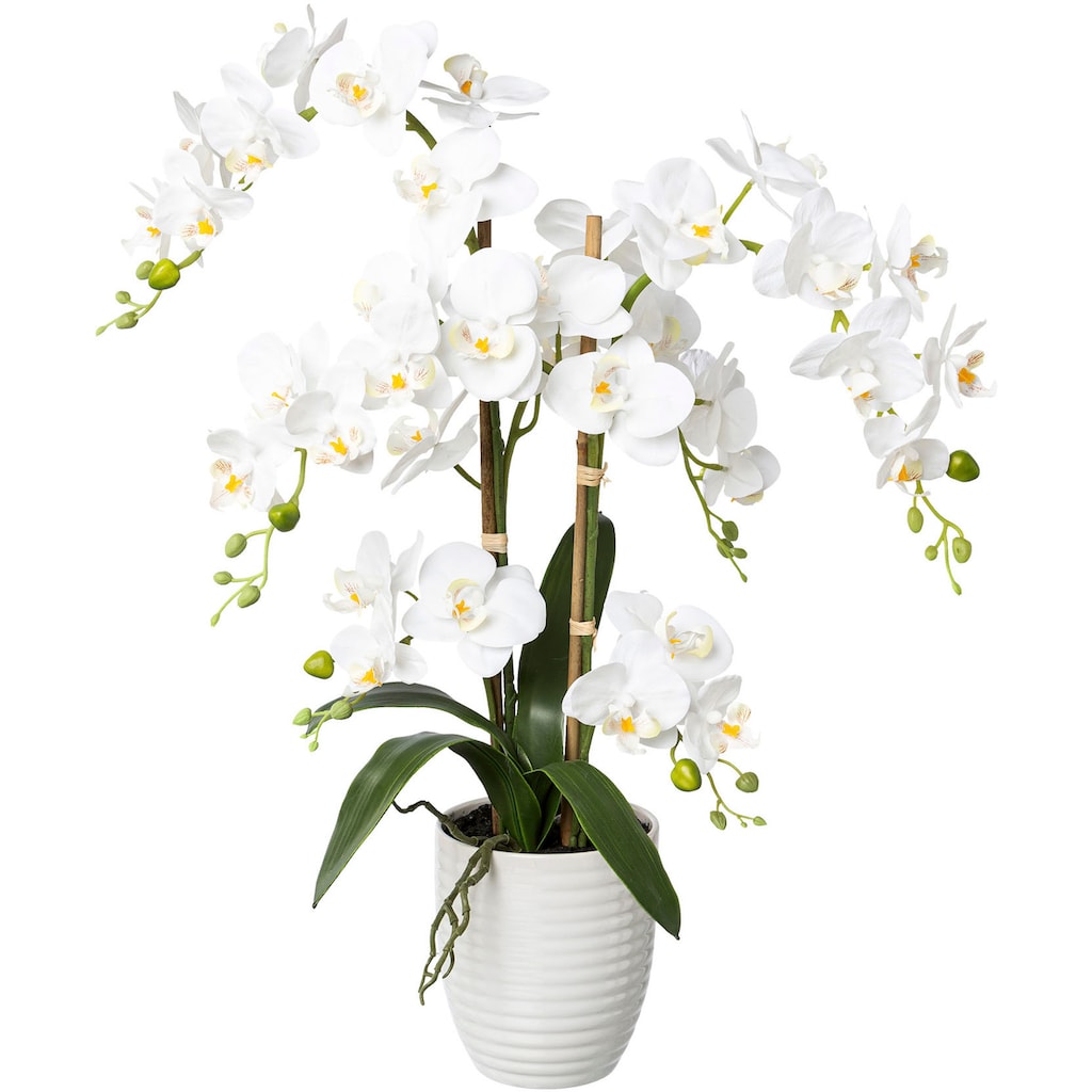 Creativ green Kunstorchidee »Deko-Orchidee Phalaenopsis im Keramiktopf«