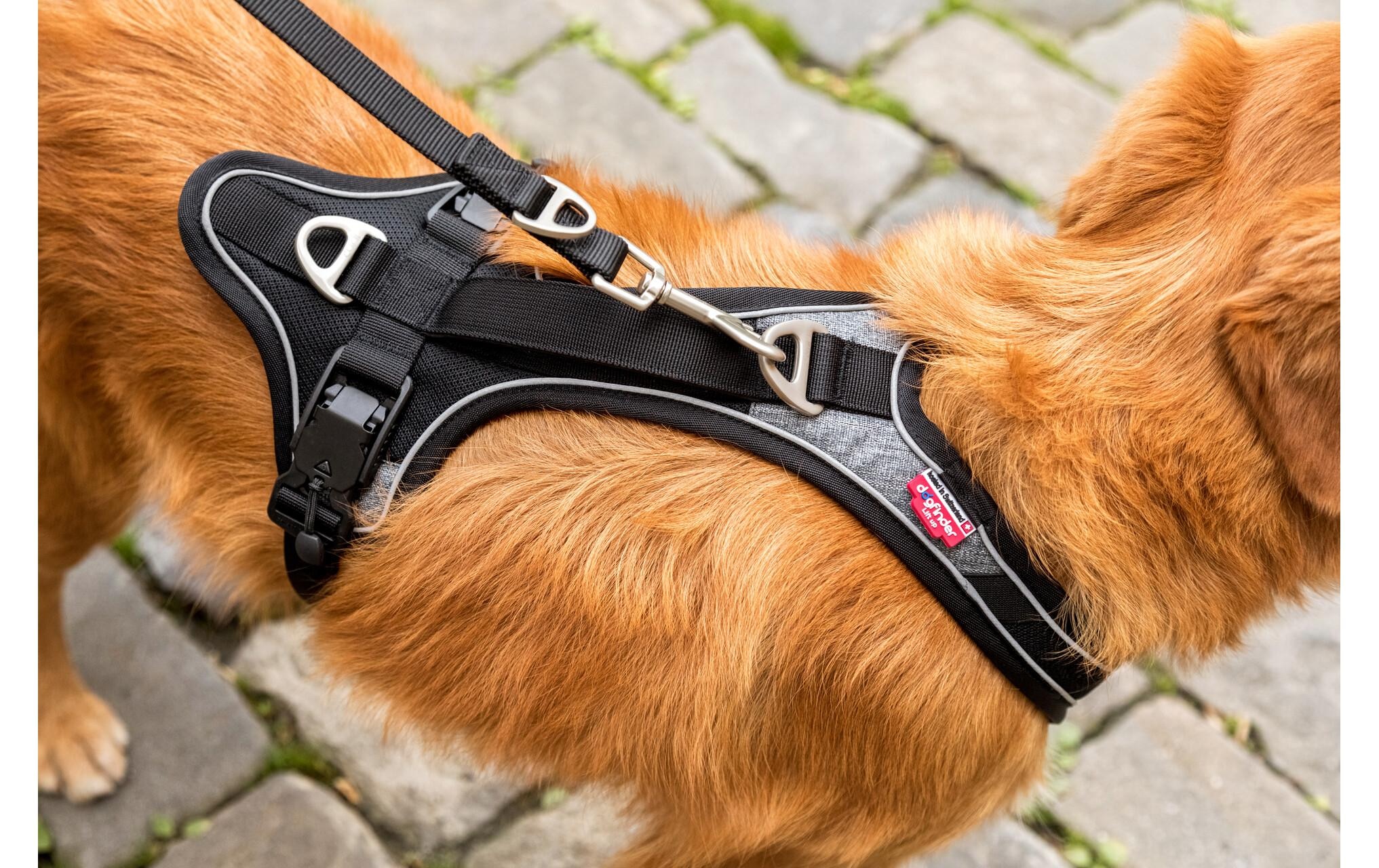 Curli Hunde-Geschirr »Magnetic Belka Comfort«, Polyester