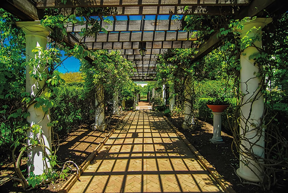 Papermoon Fototapete »Garden Walkway« kaufen