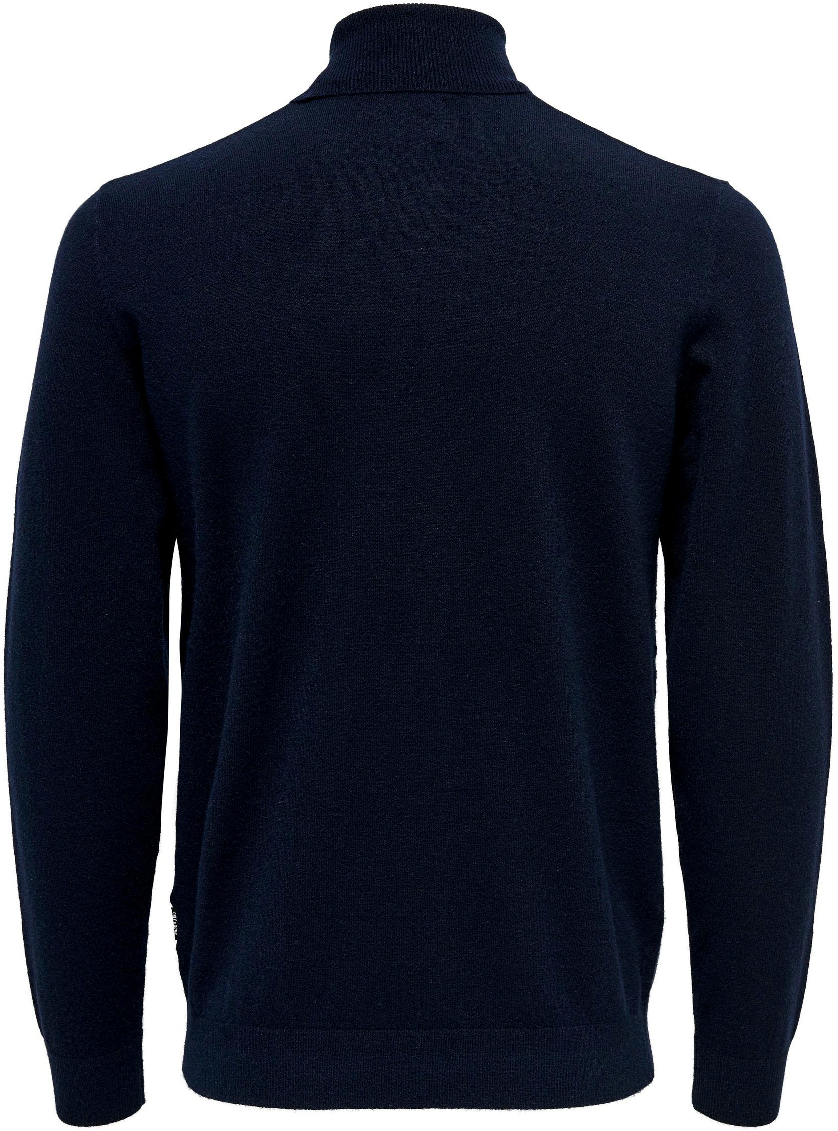 ONLY & SONS Rollkragenpullover »ONSWYLER LIFE REG ROLL NECK KNIT NOOS«